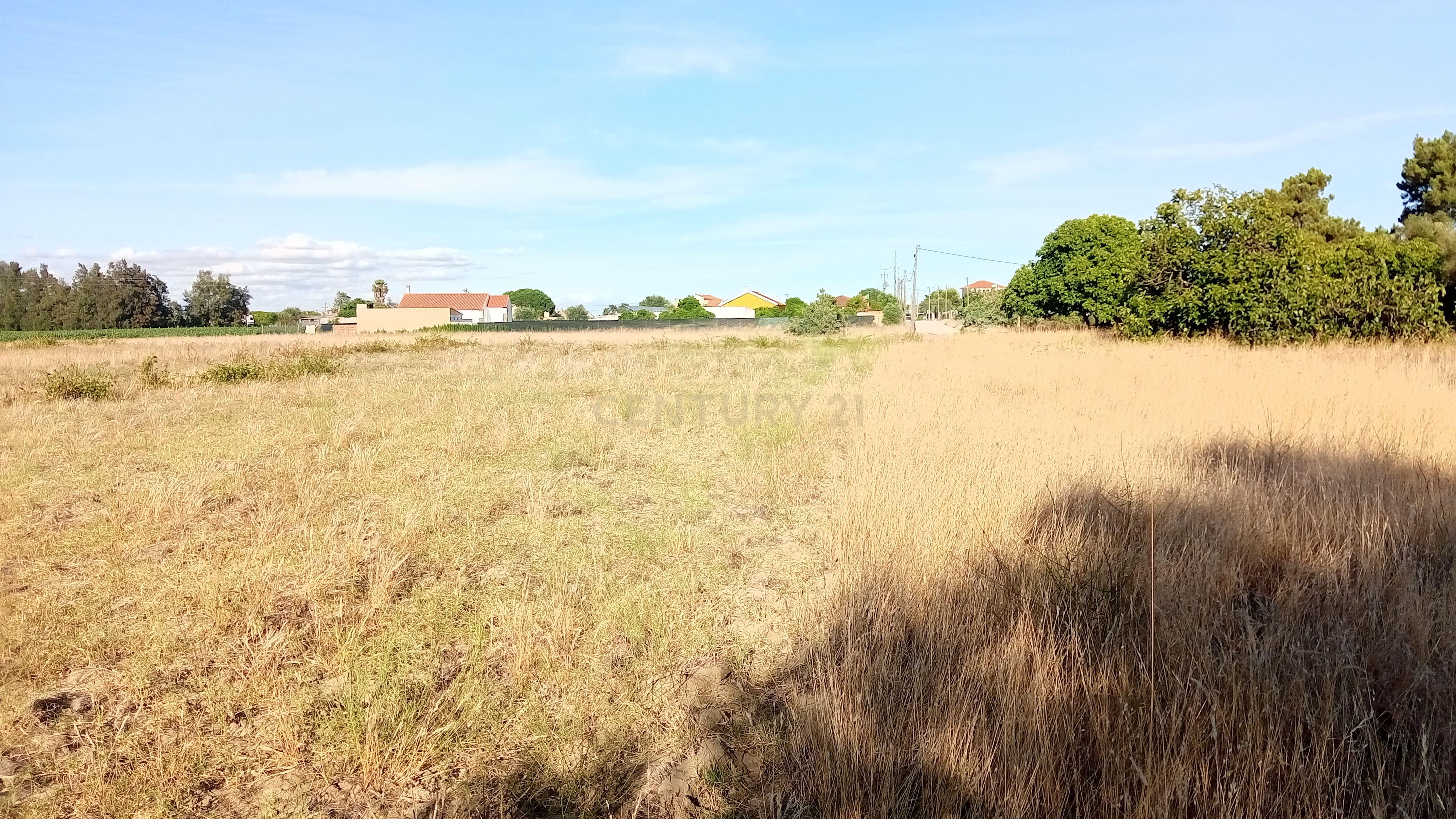 Land for sale in Palmela, Portugal — €198,500