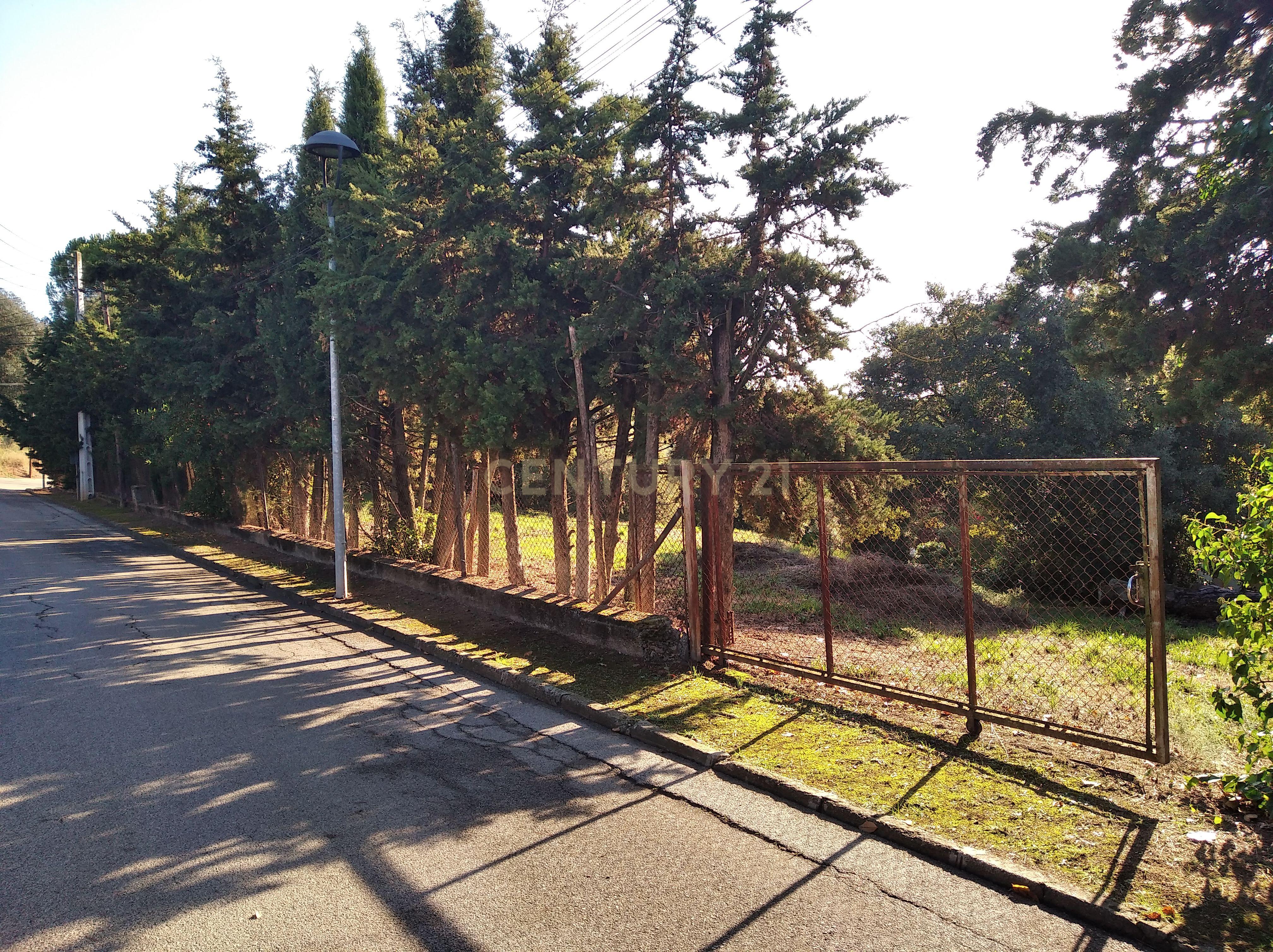 undefined - Image 22