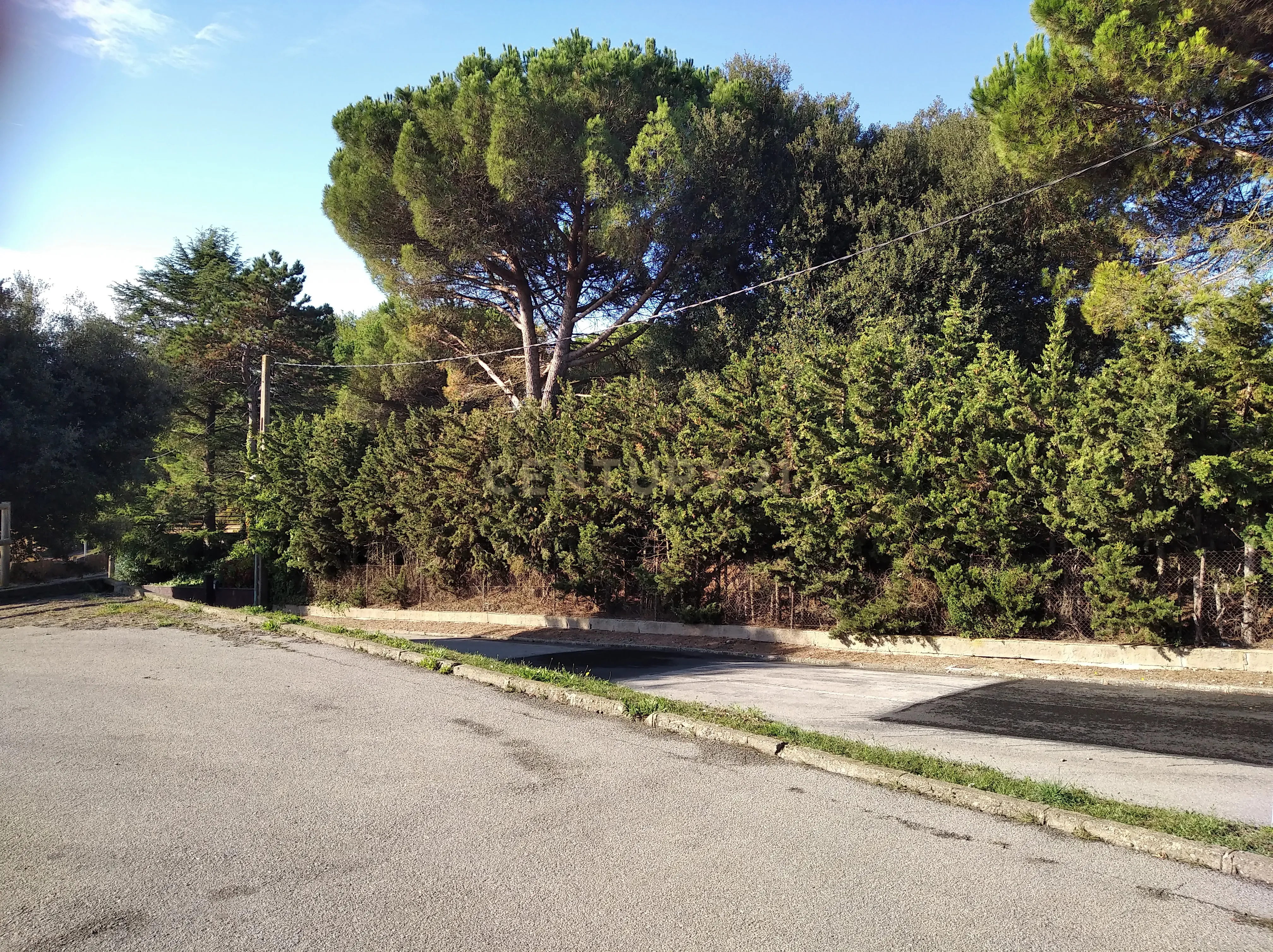 undefined - Image 21