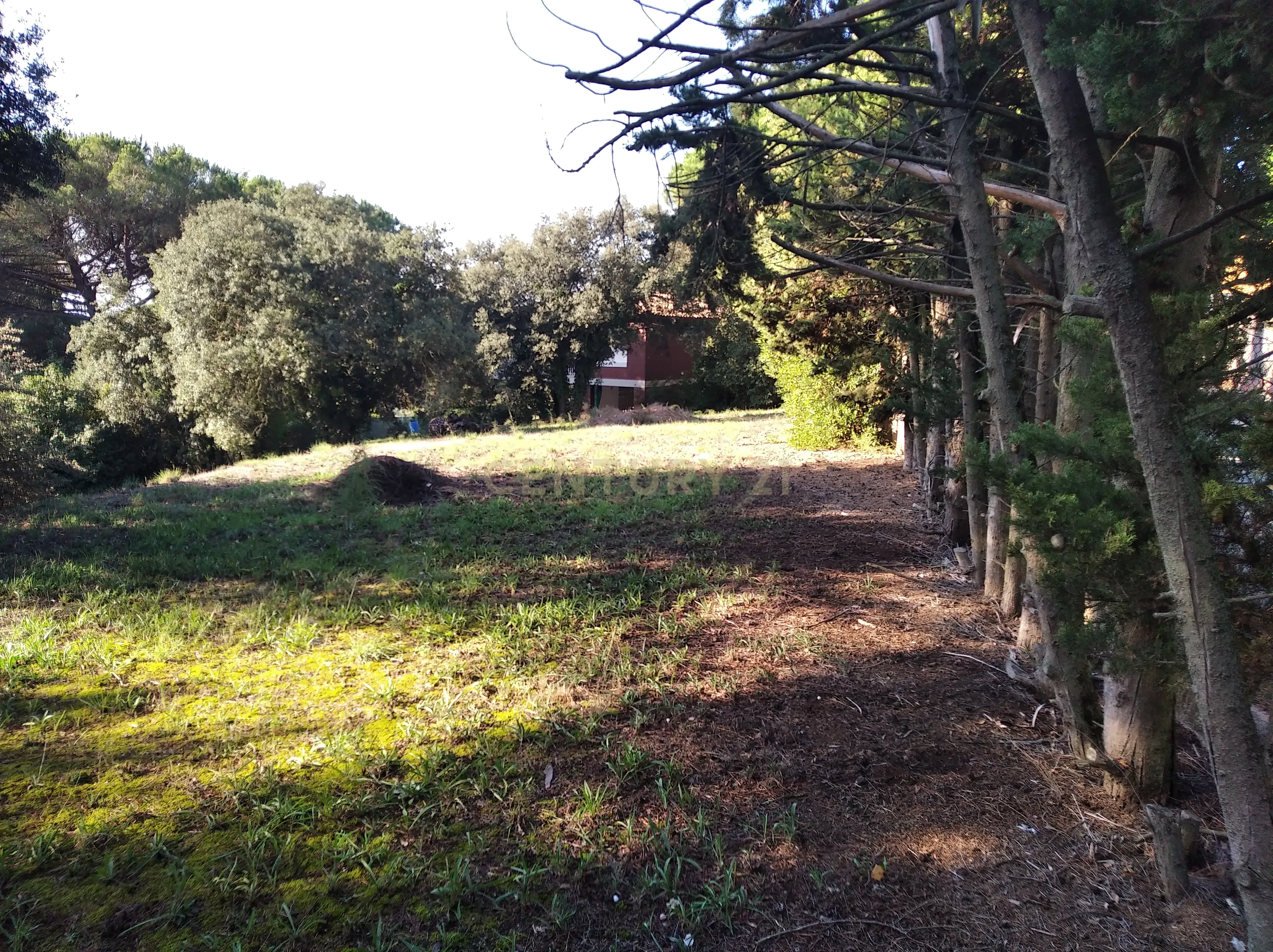 undefined - Image 18