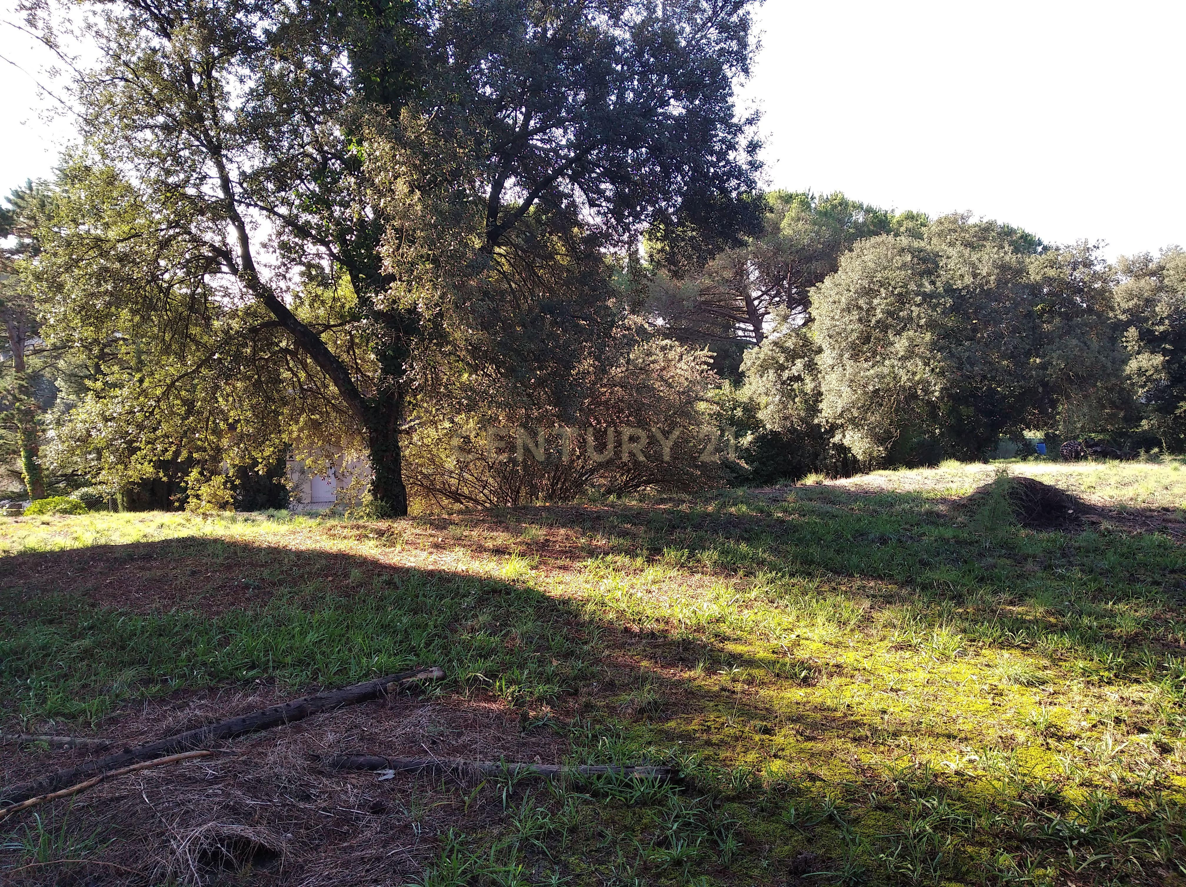 undefined - Image 16