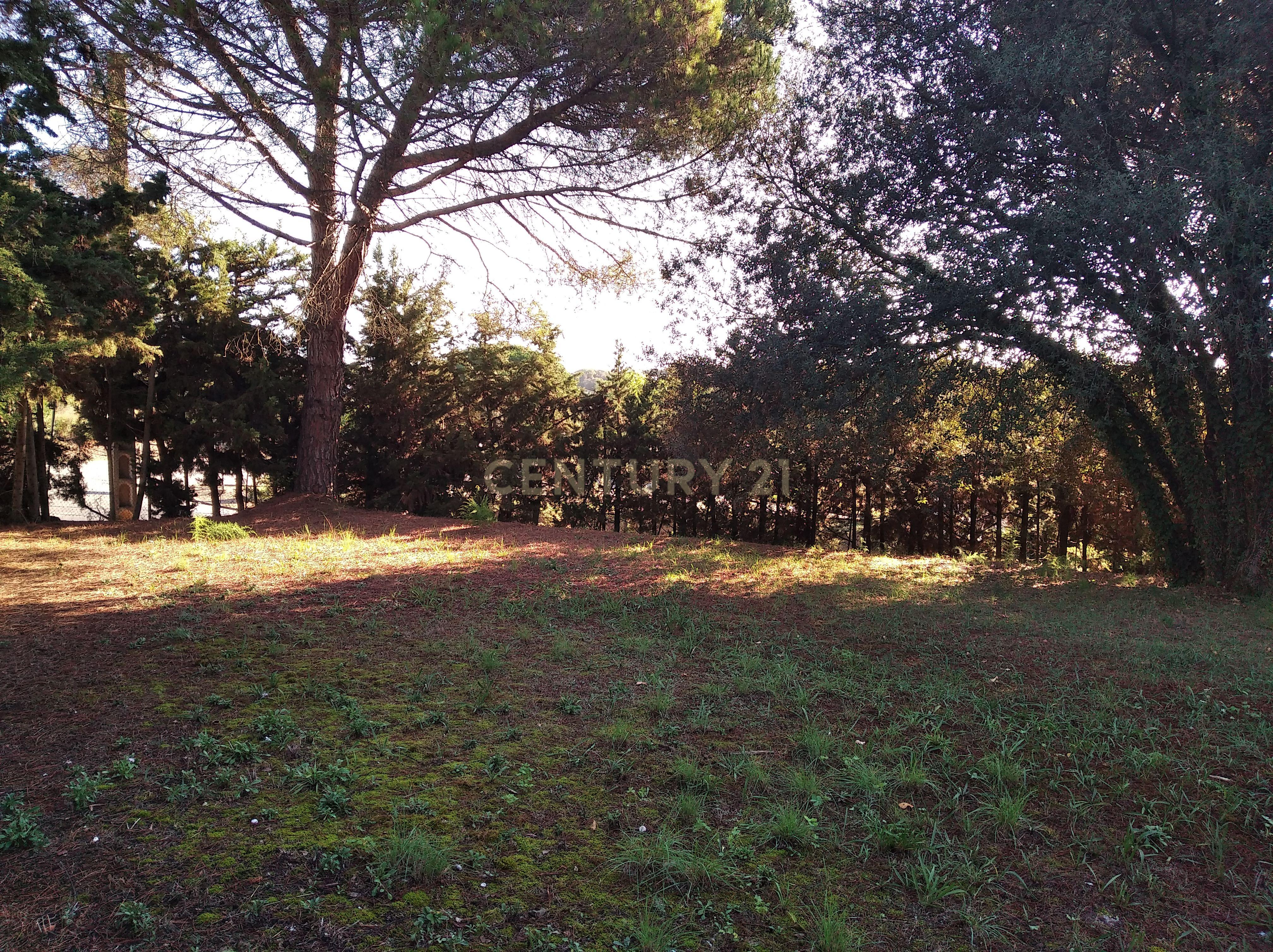 undefined - Image 12