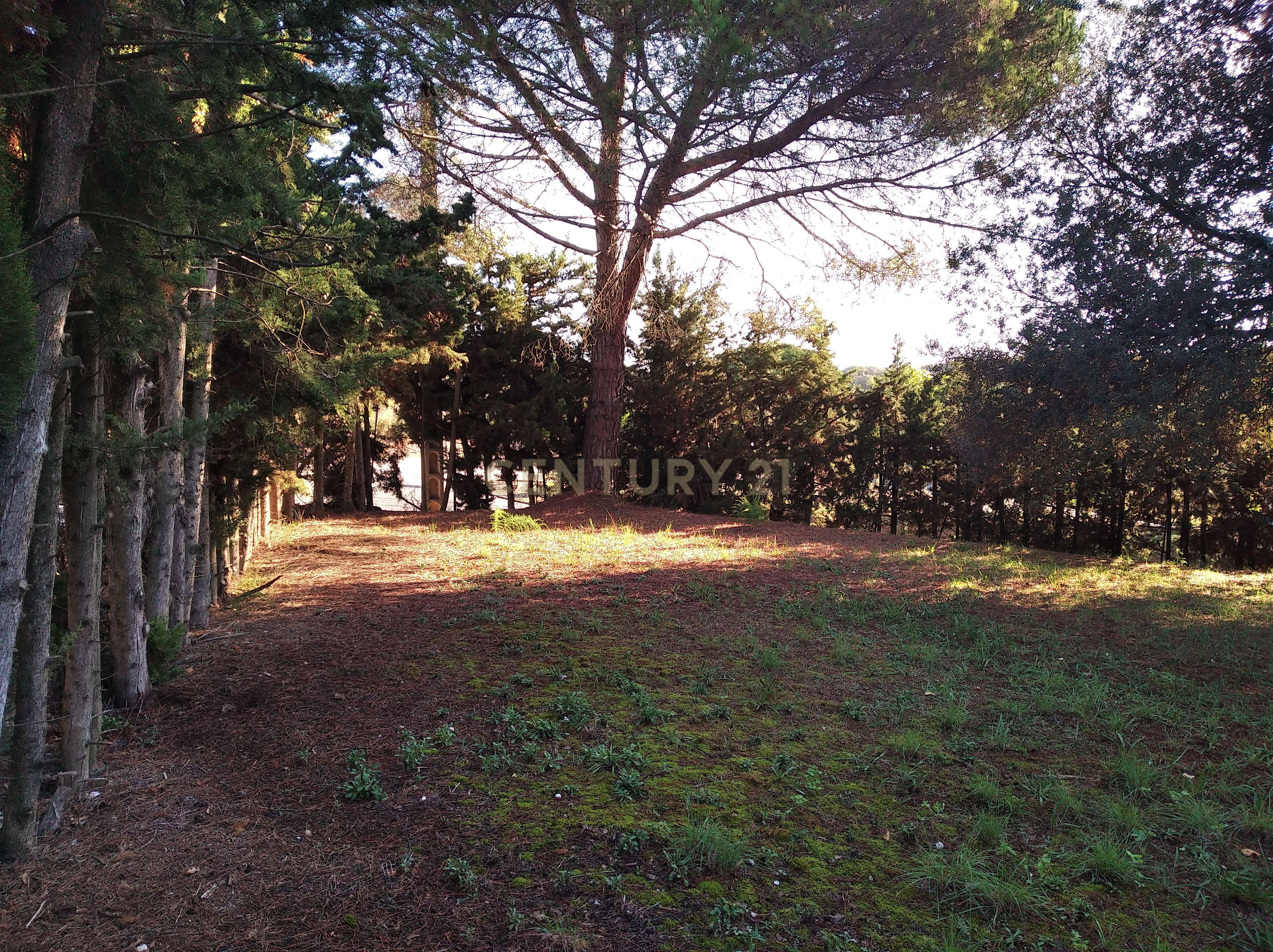 undefined - Image 8