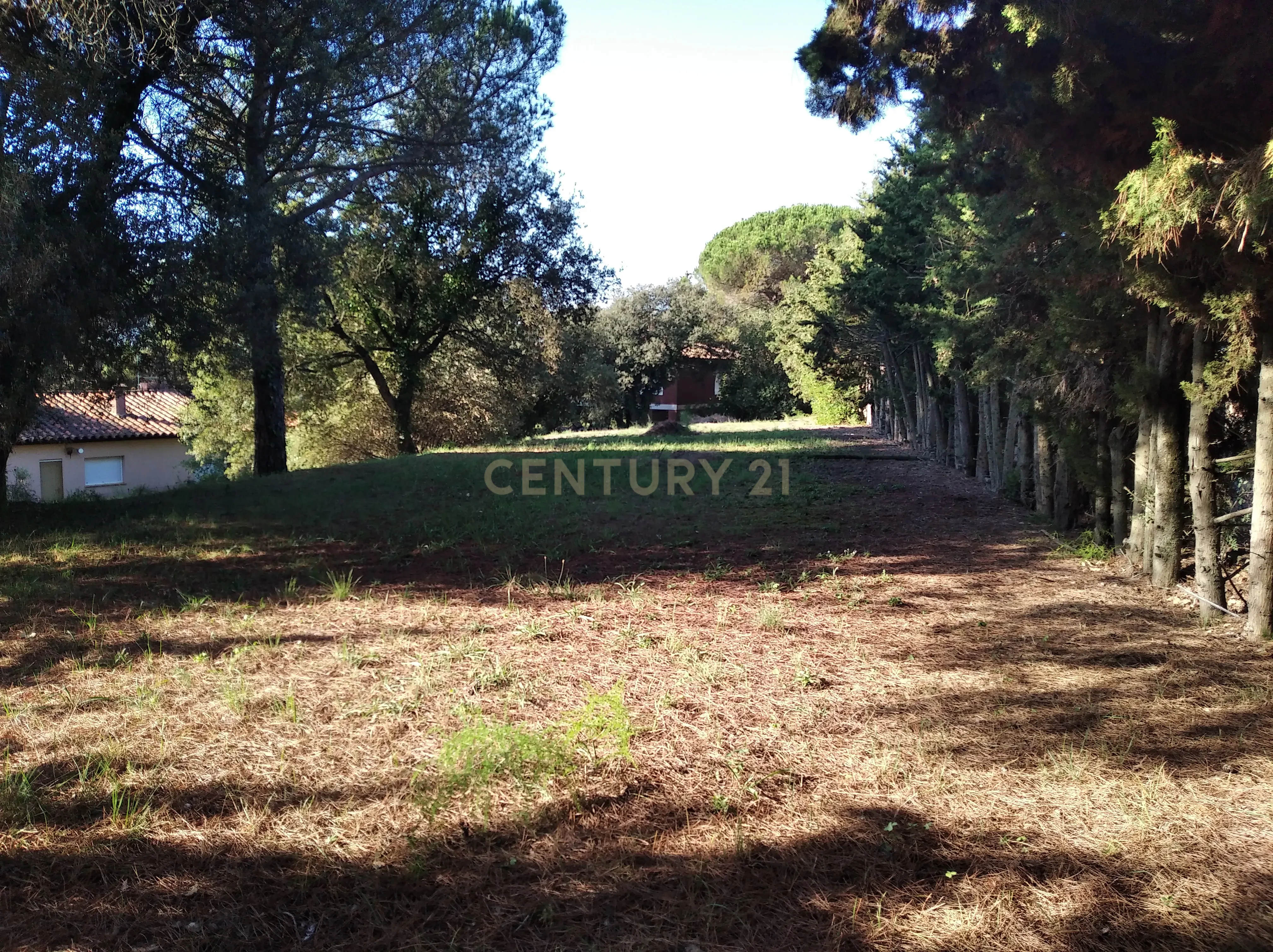 undefined - Image 9