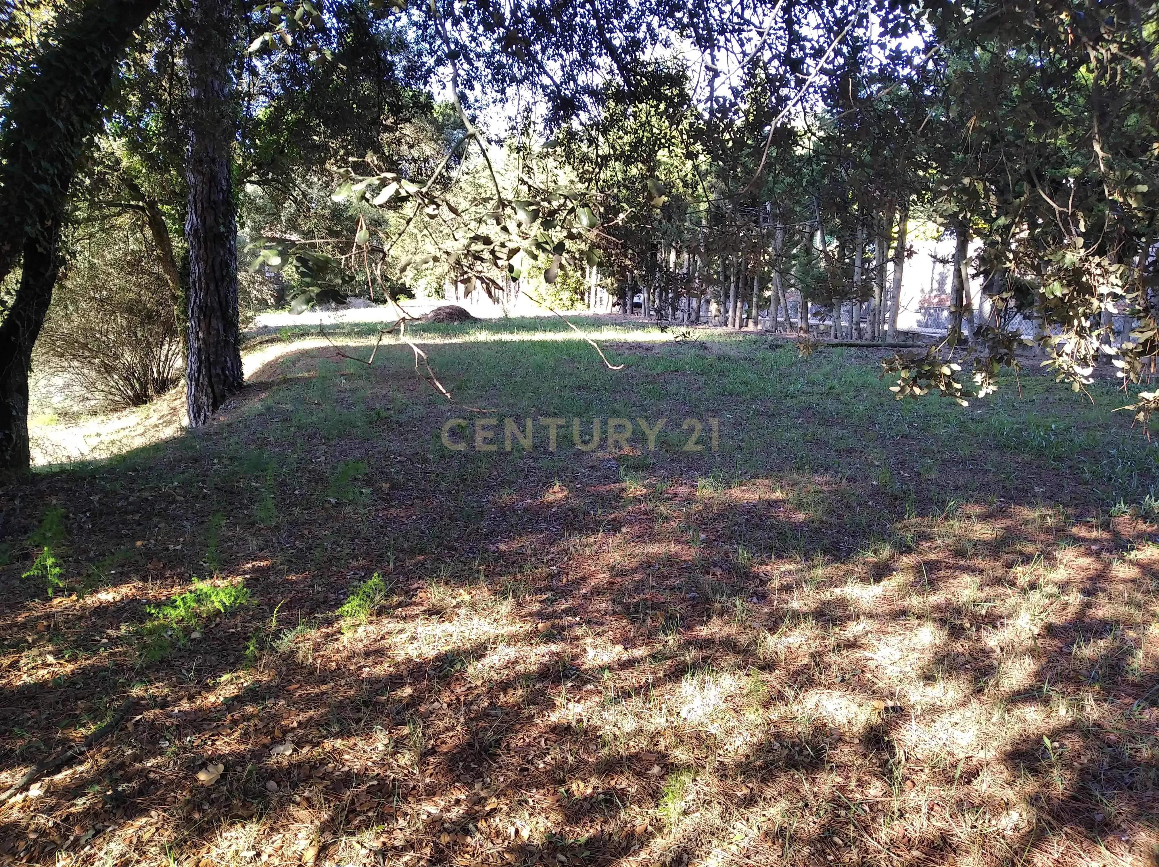 undefined - Image 6