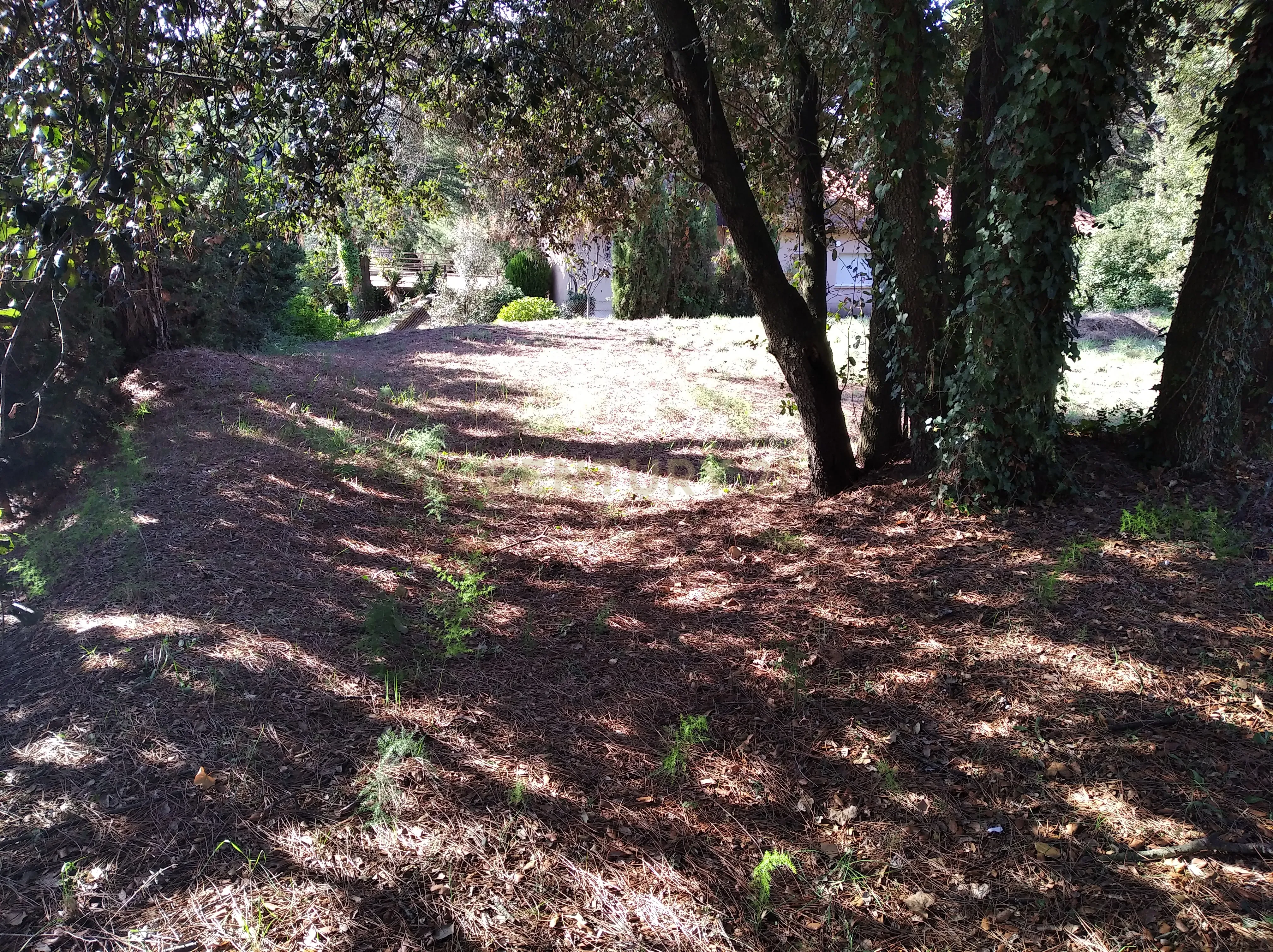 undefined - Image 20