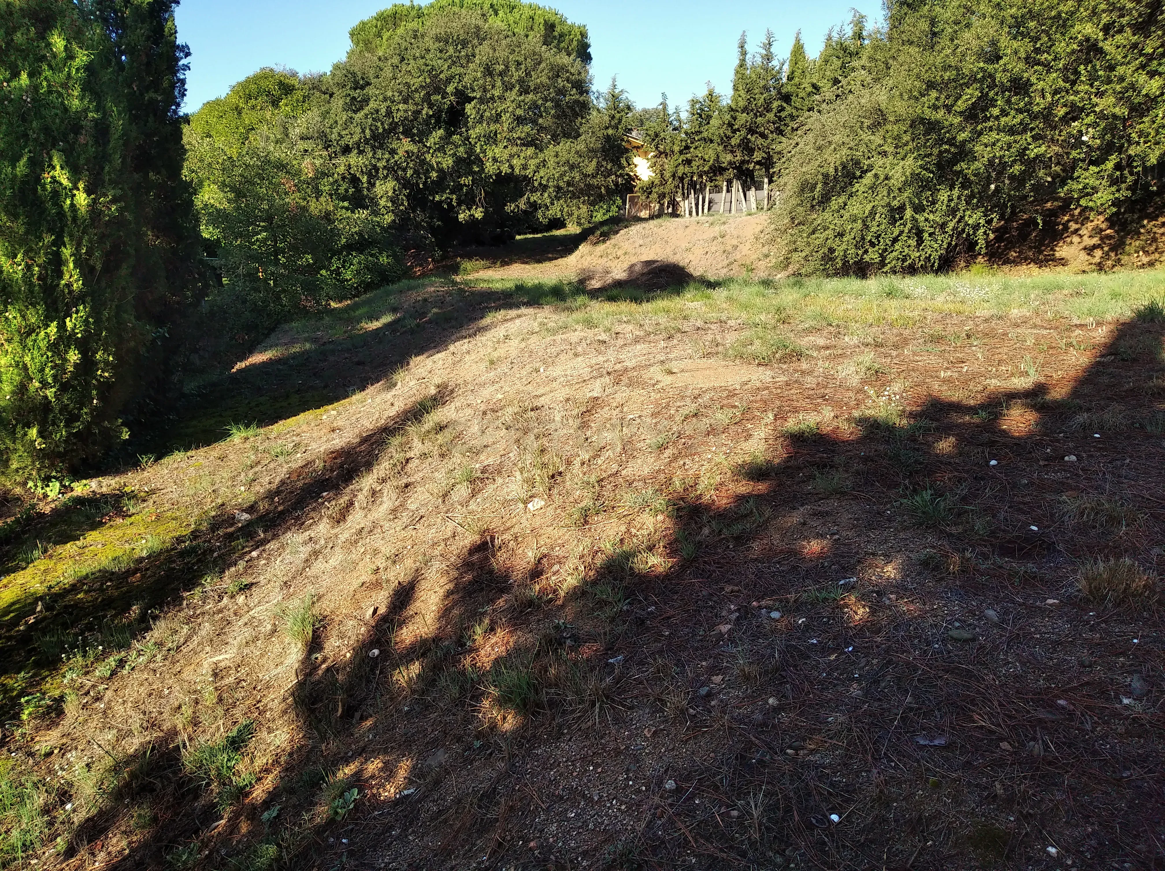 undefined - Image 11