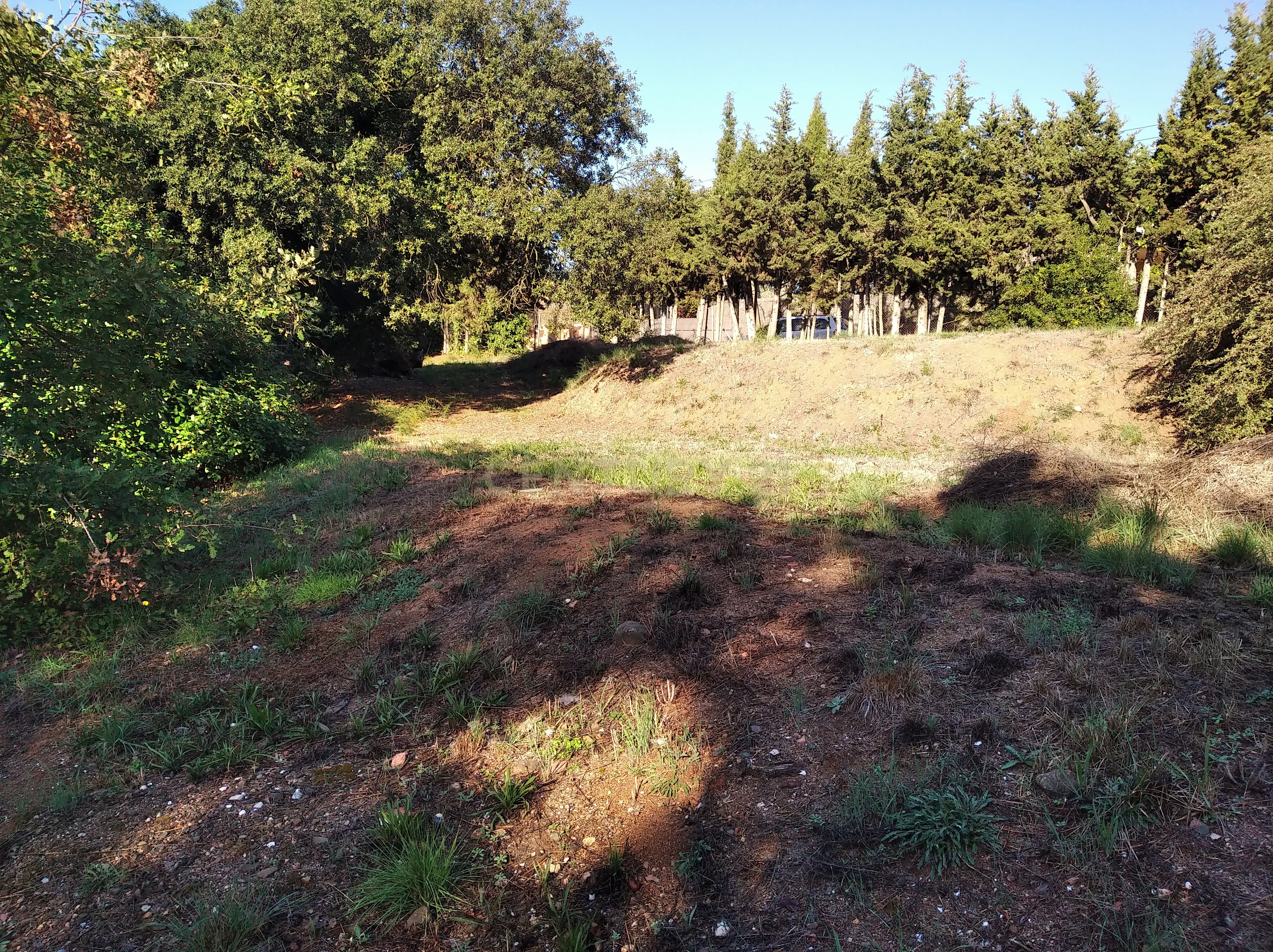 undefined - Image 23