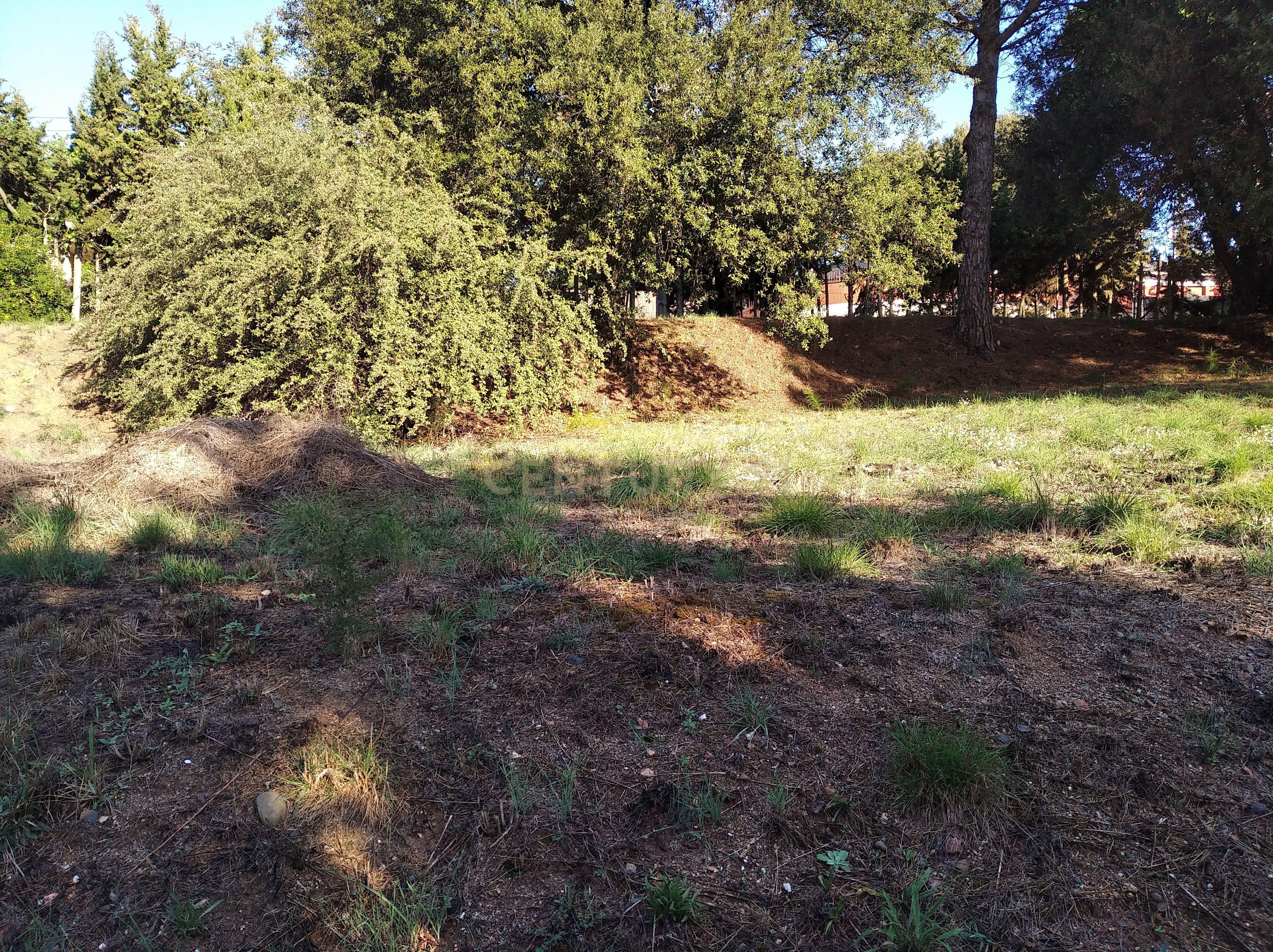 undefined - Image 19