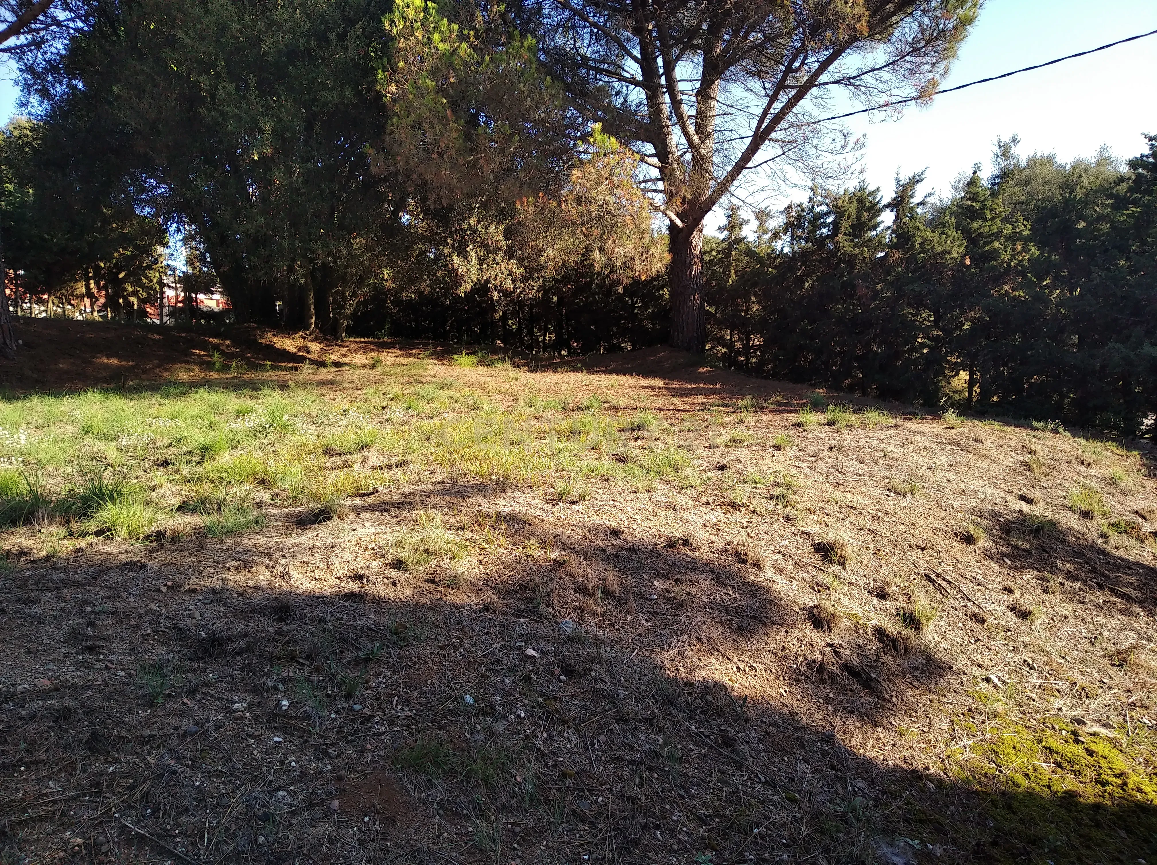 undefined - Image 15