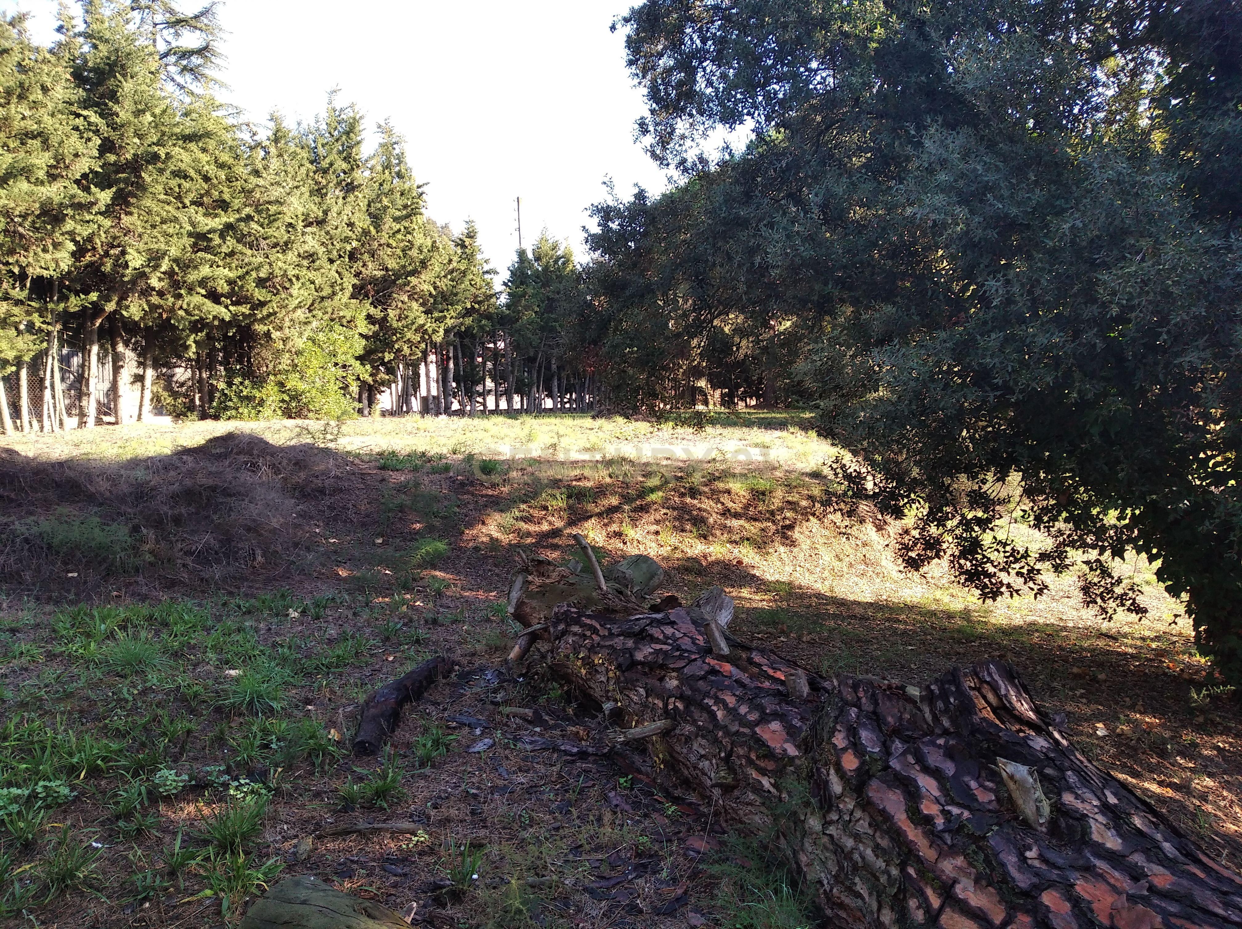 undefined - Image 13