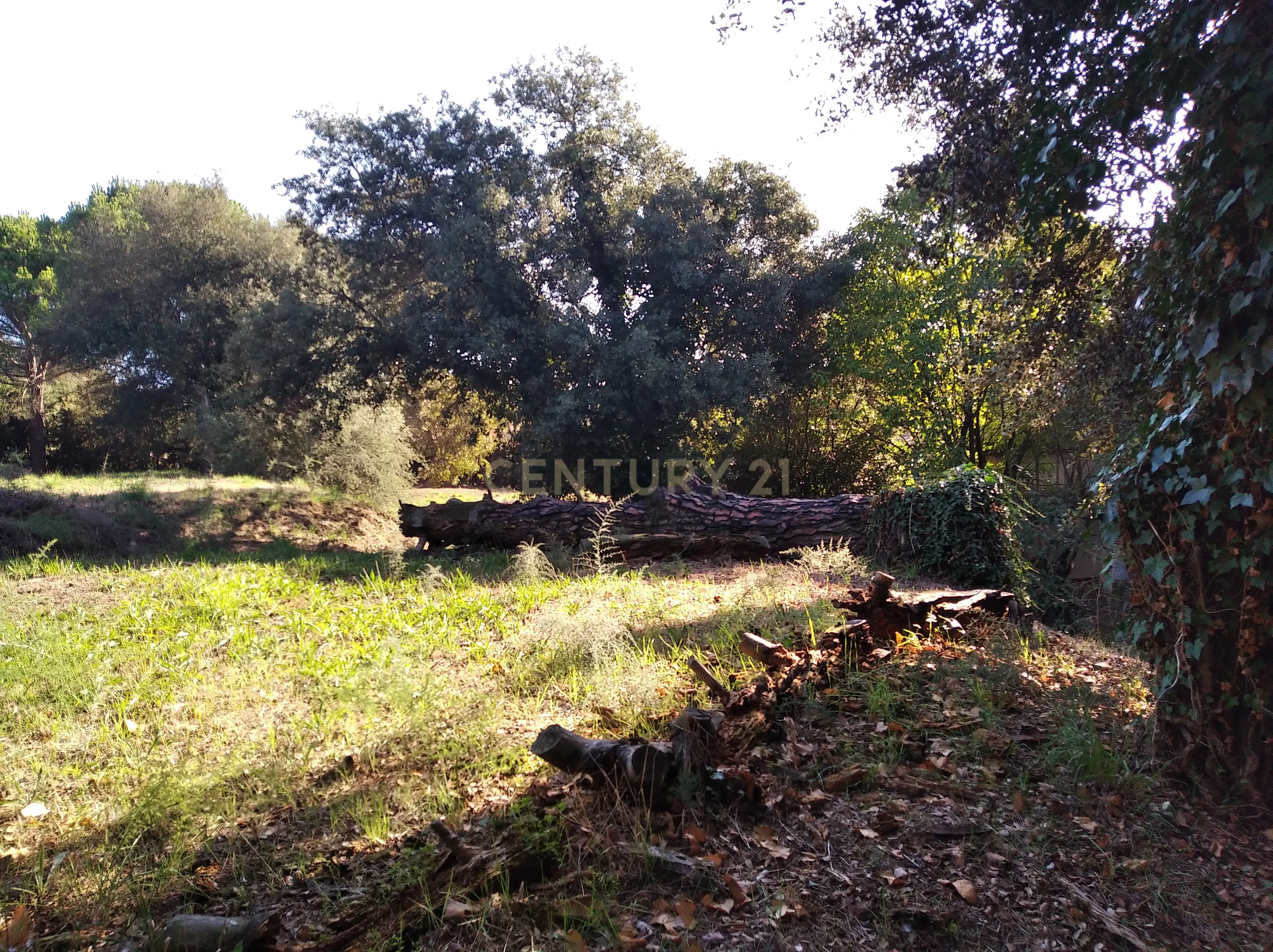undefined - Image 14