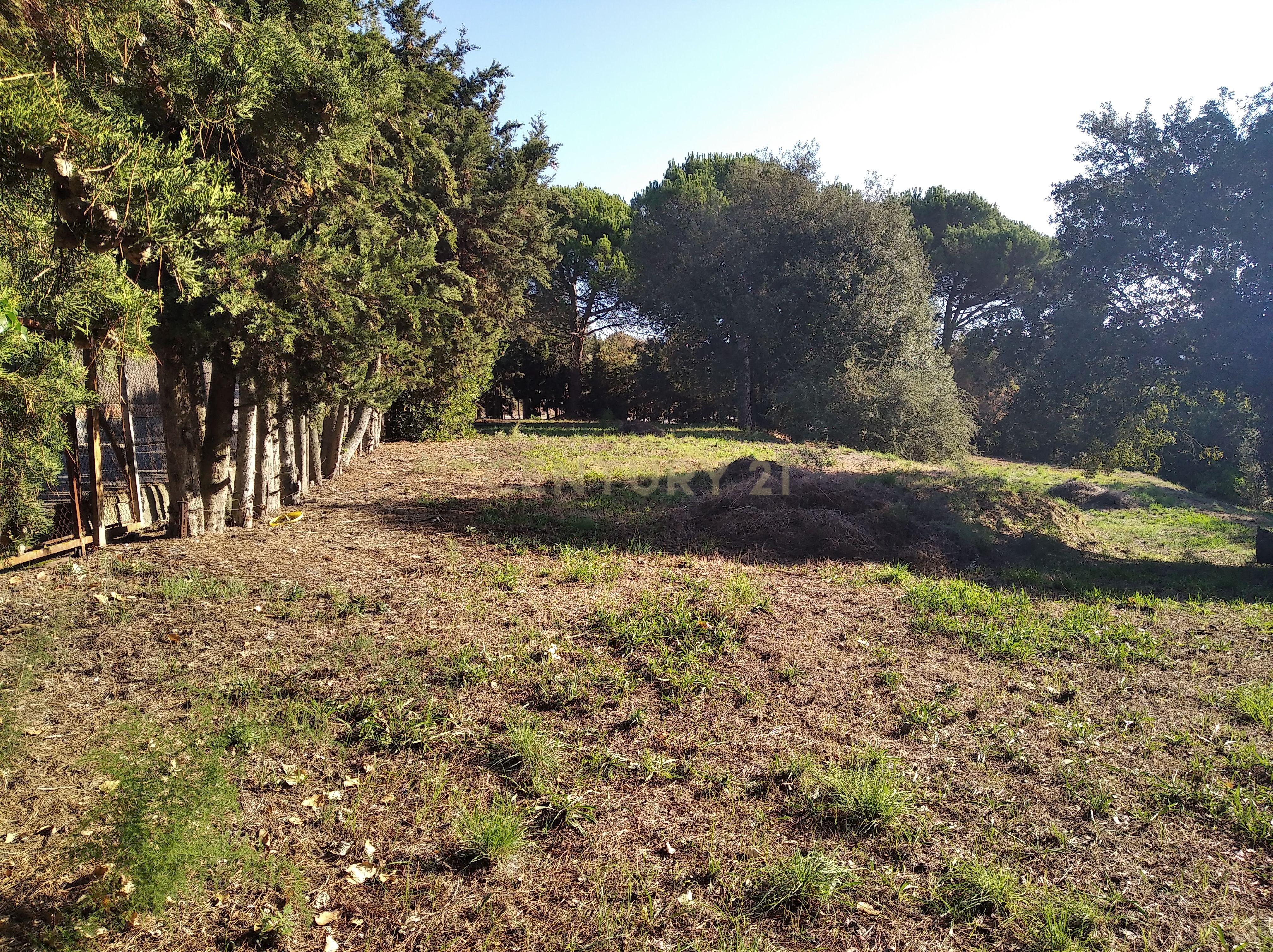 undefined - Image 5
