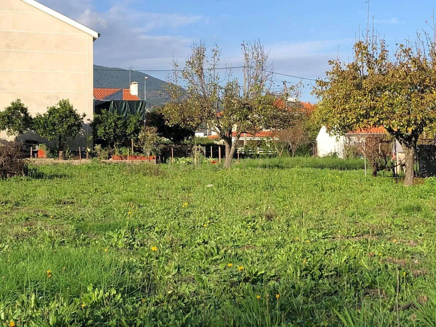 Terreno Urbano na Covilhã - Image 12