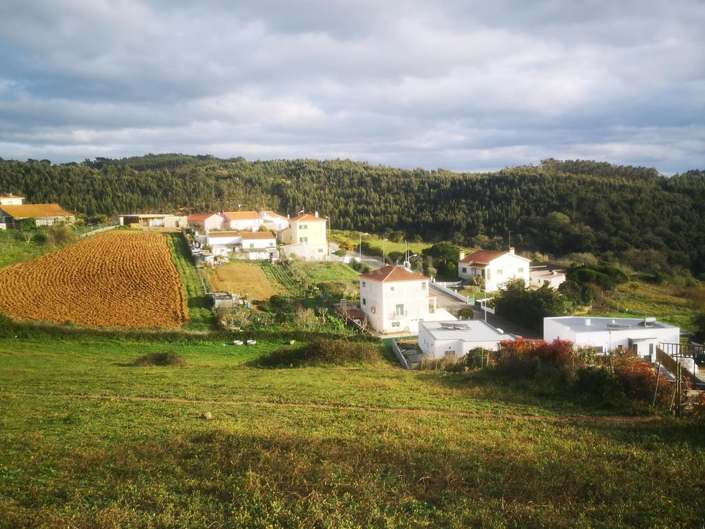 Construção de moradias em Banda ou Isoladas - Image 5