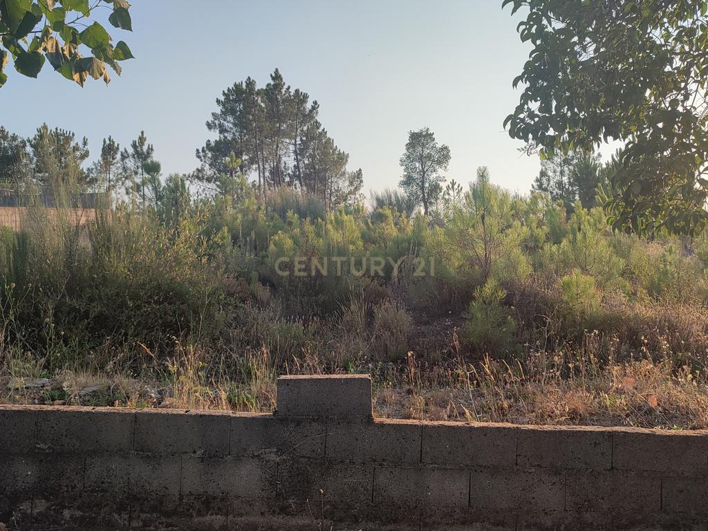 Fabuloso Lote de Terreno p/Construção com 635,4 m2 - Image 3