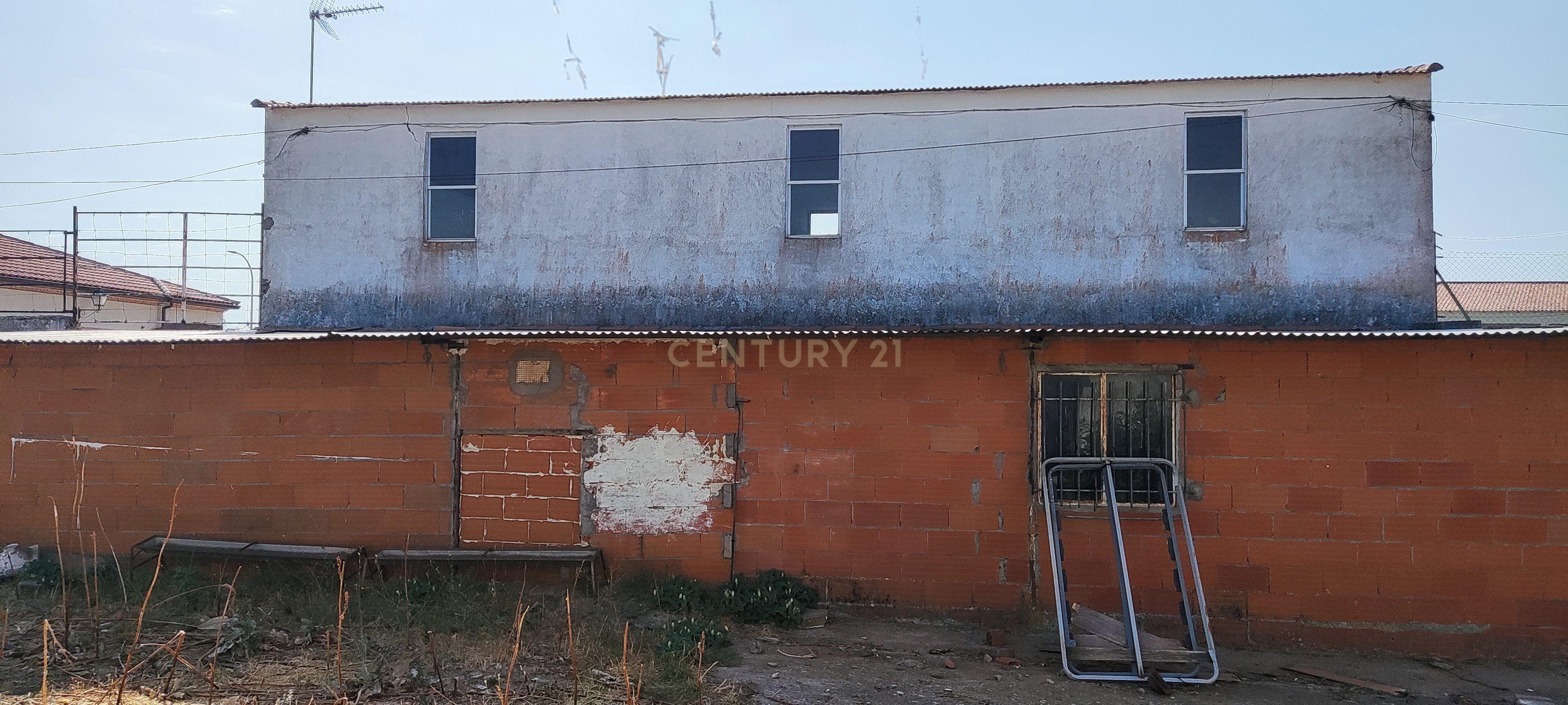 undefined - Image 11