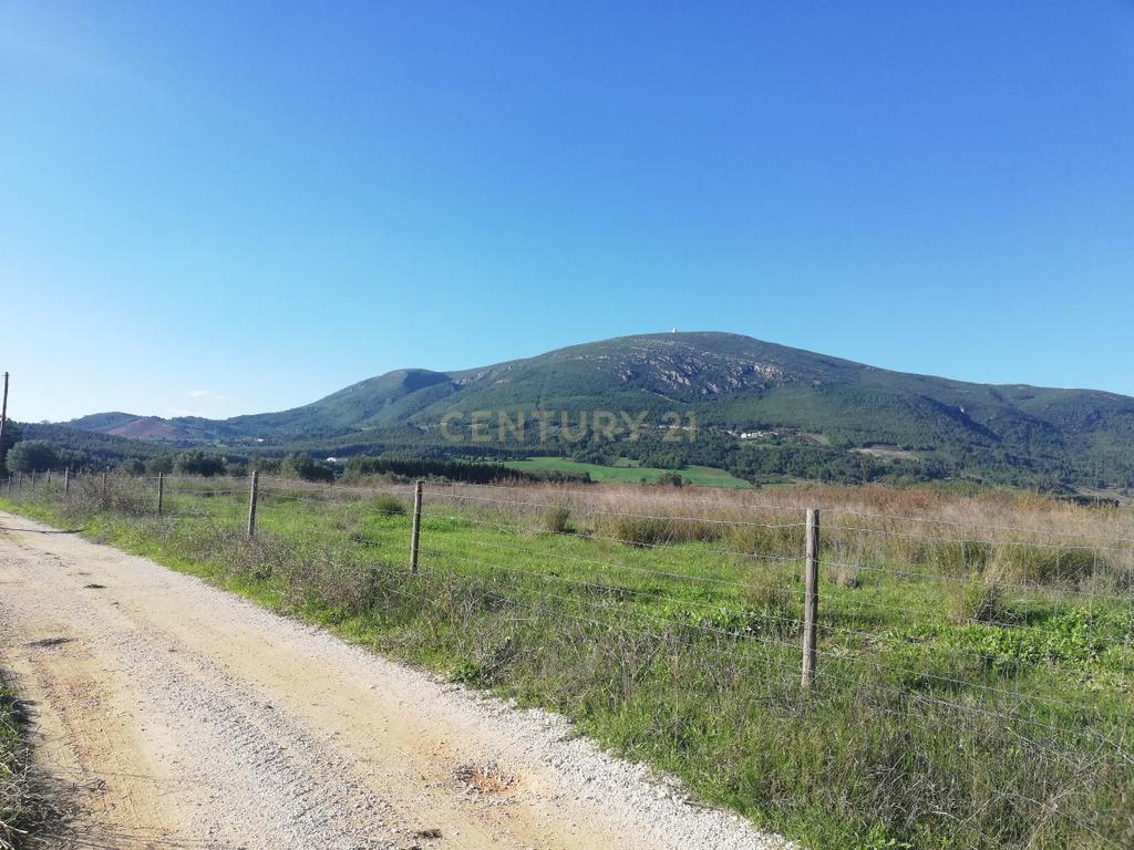 Terreno Rústico Excelente Vista Serra de Montejunto - Image 3
