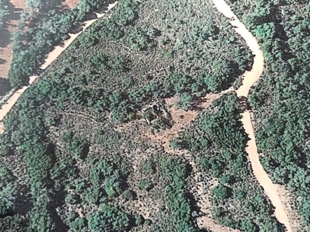 Terreno de 2HA com ruína em Vale da Boa Hora, Parragil (Loulé e Boliqueime) - Image 11