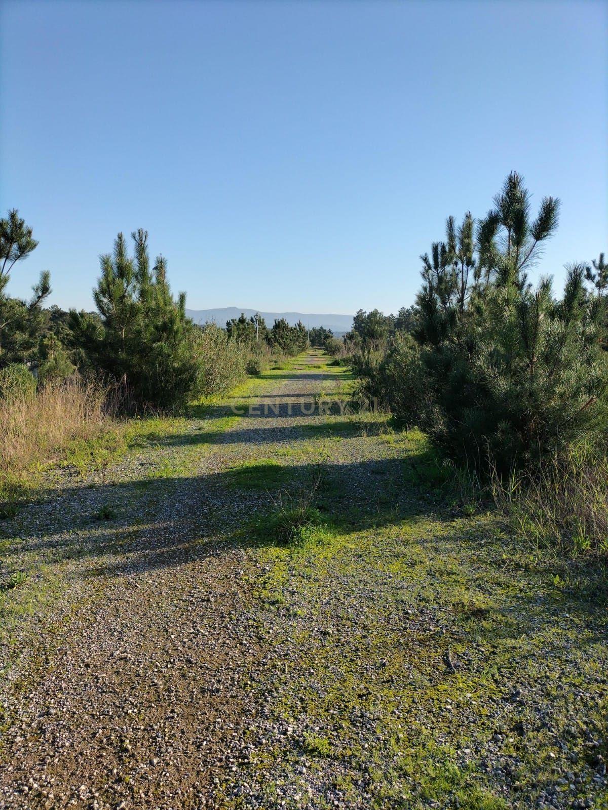 Lote de terreno para construção de moradia em banda - Image 2