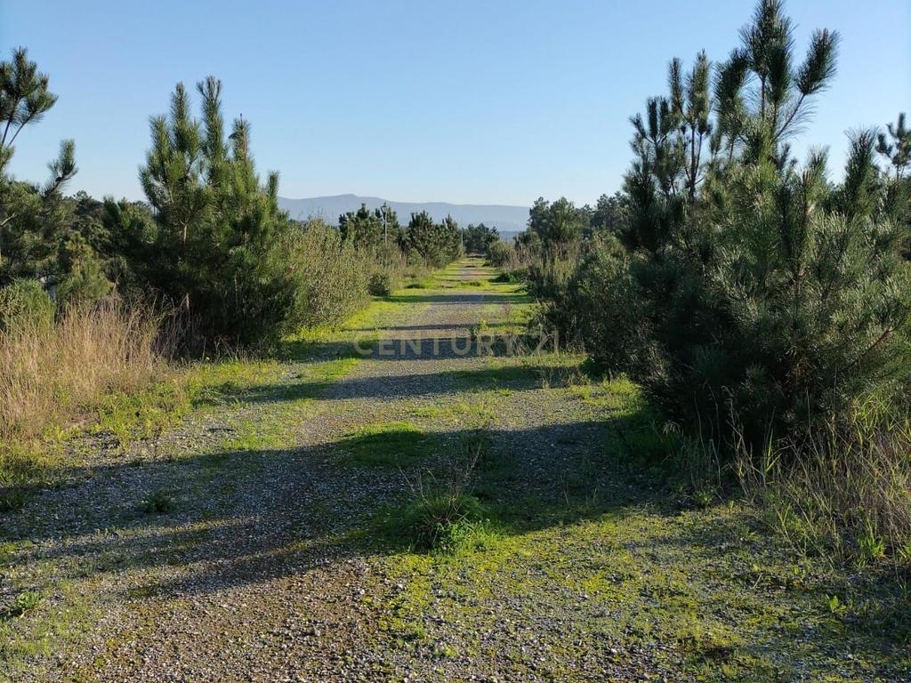 Lote de terreno para moradia em Banda - Image 1