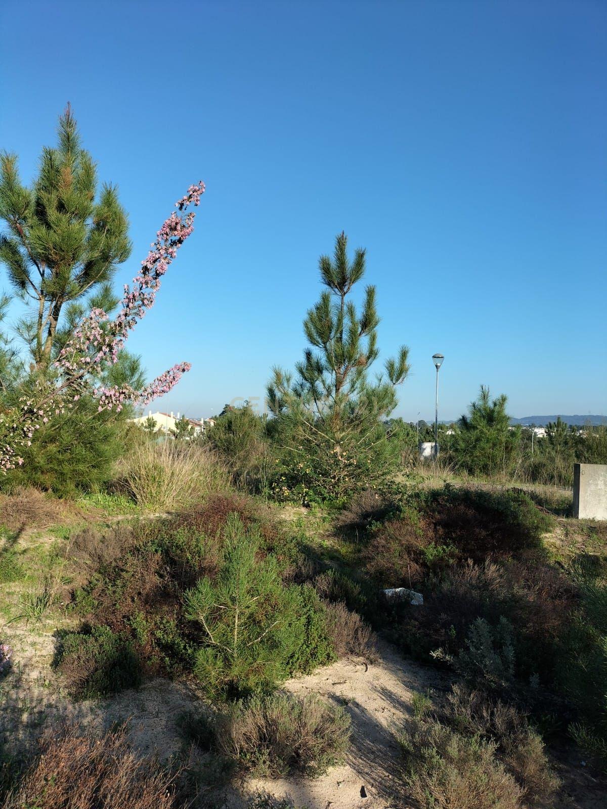 Lote de terreno para construção de moradia em banda - Image 5