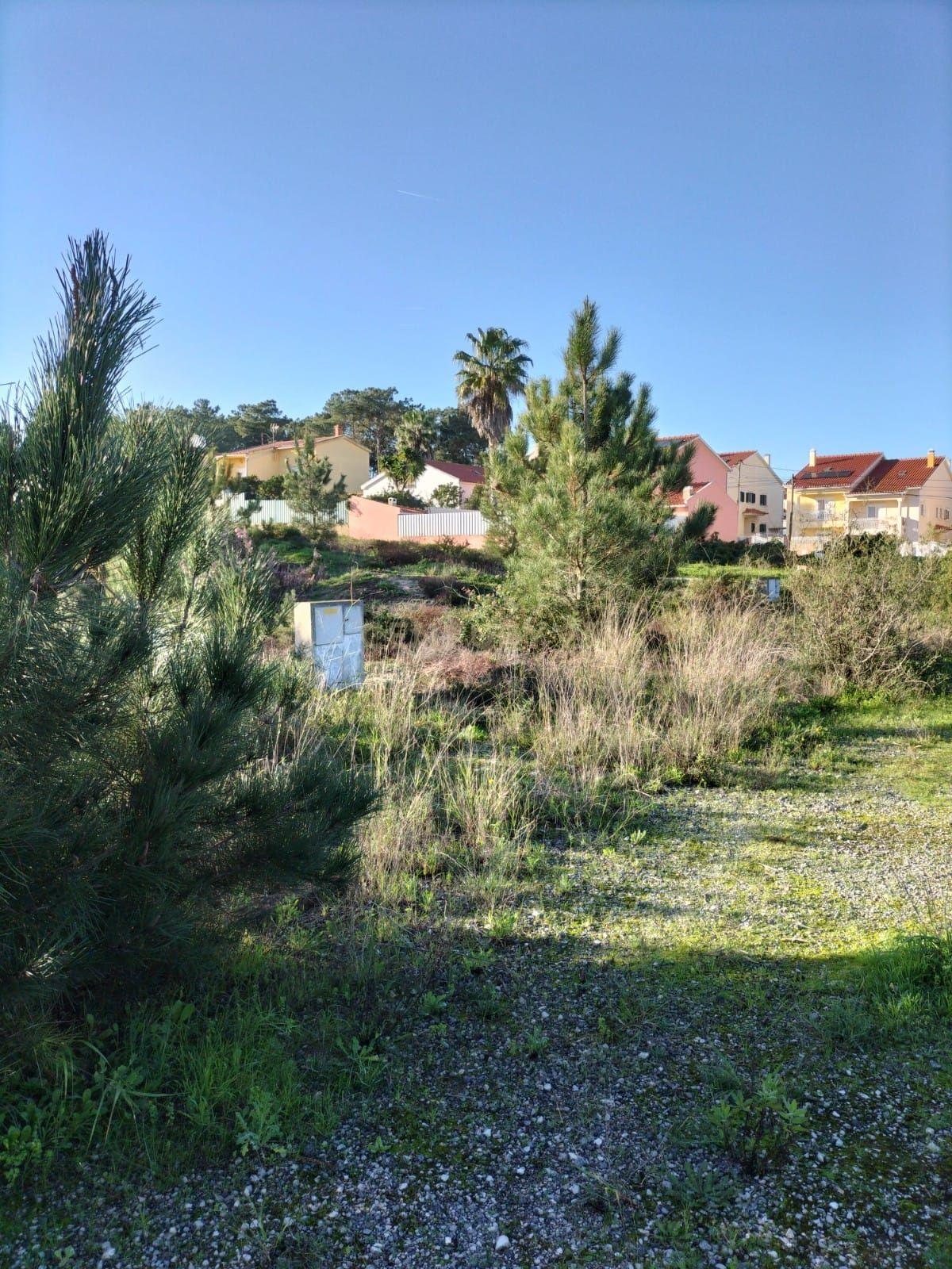 Lote de terreno para construção de moradia em banda - Image 3