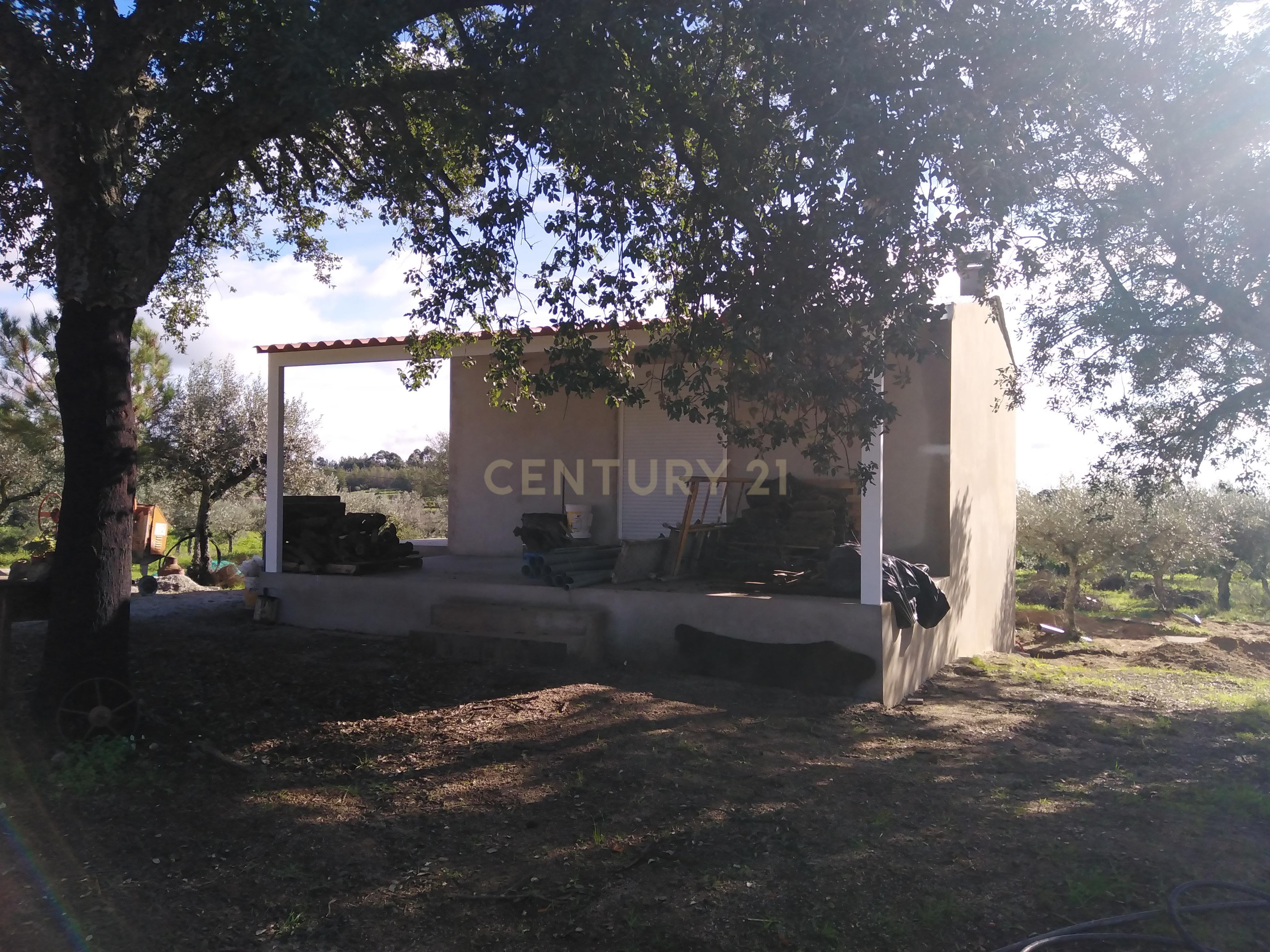 Quinta Com Piscina e Casa Madeira, Lousa, Castelo Branco - Image 9