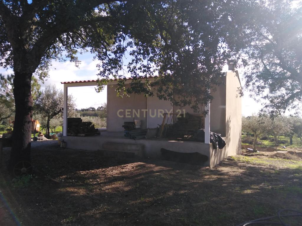 Quinta Com Piscina e Casa Madeira, Lousa, Castelo Branco - Image 9