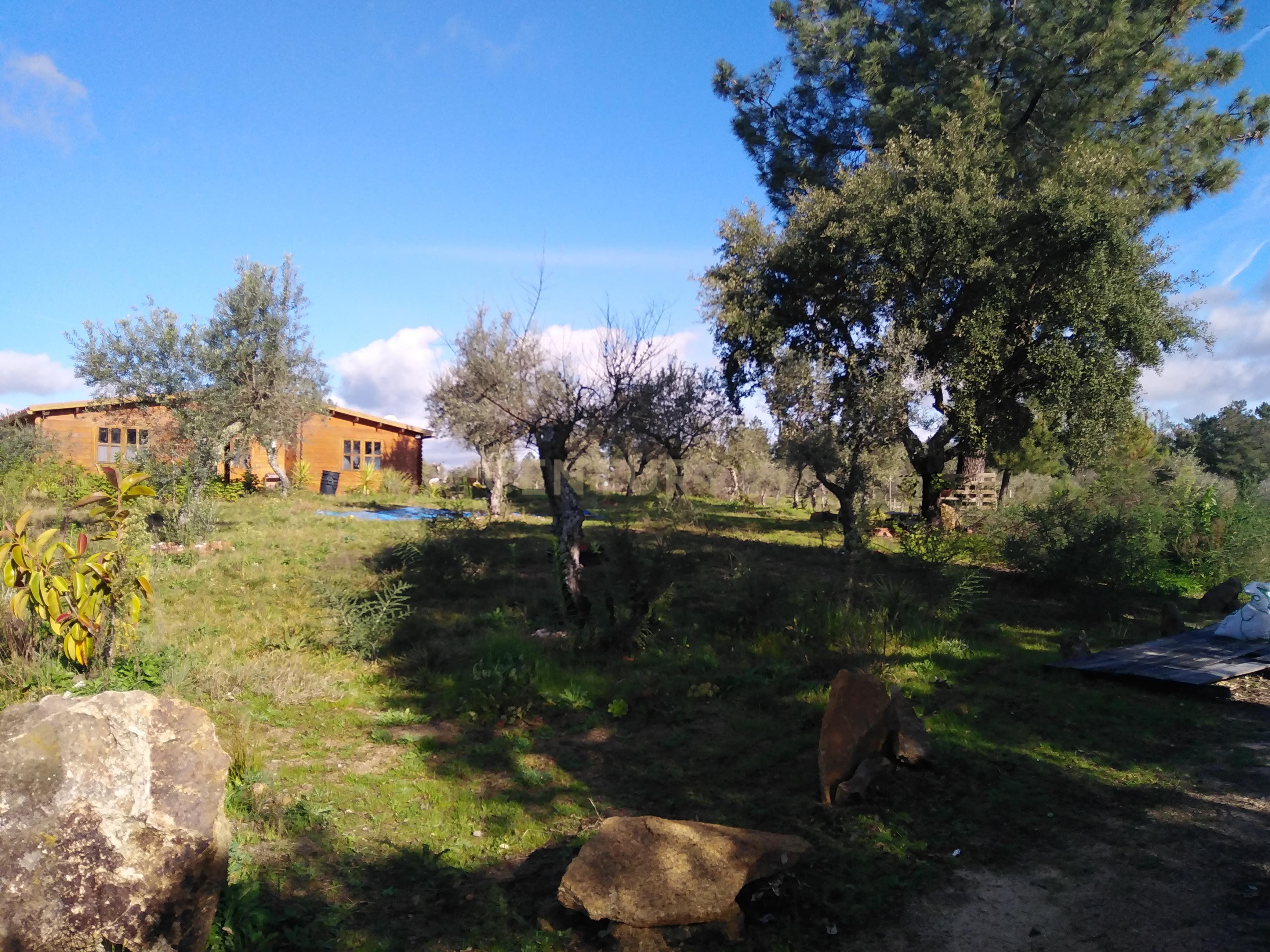 Quinta Com Piscina e Casa Madeira, Lousa, Castelo Branco - Image 42