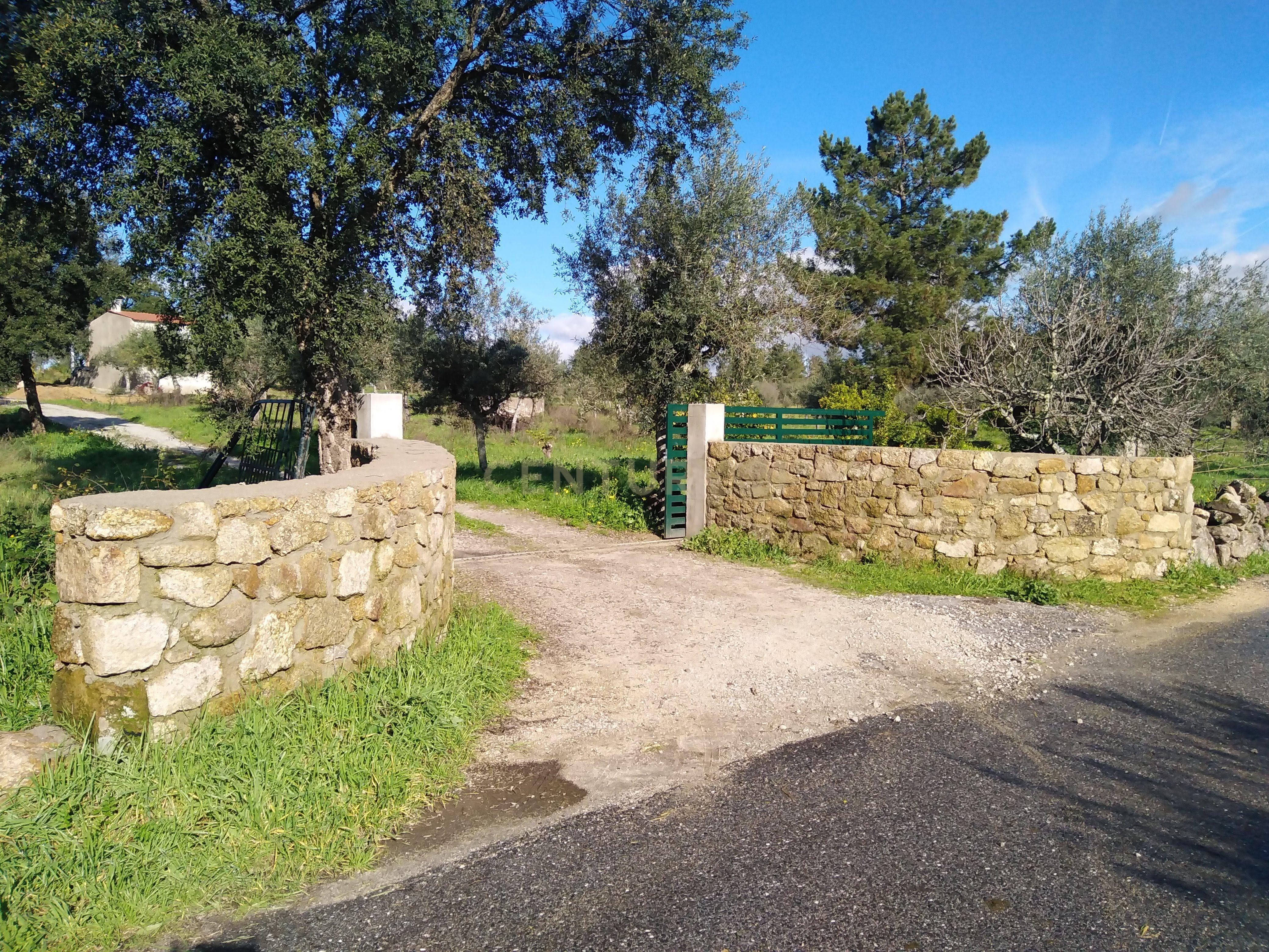 Quinta Com Piscina e Casa Madeira, Lousa, Castelo Branco - Image 4