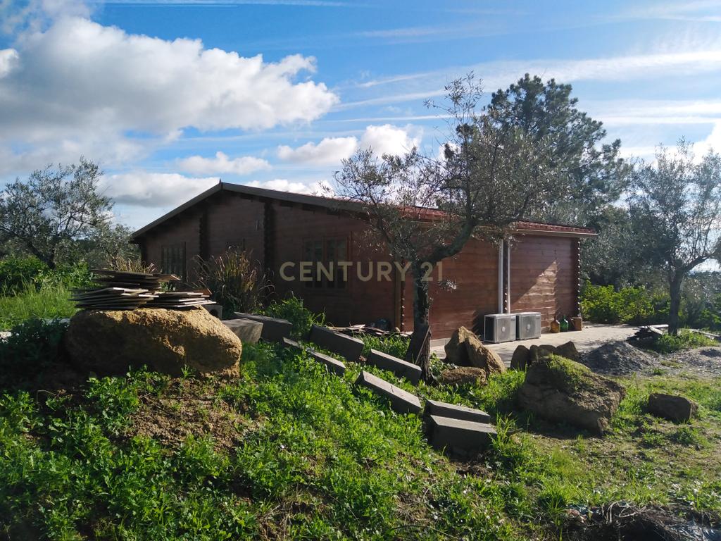 Quinta Com Piscina e Casa Madeira, Lousa, Castelo Branco - Image 11
