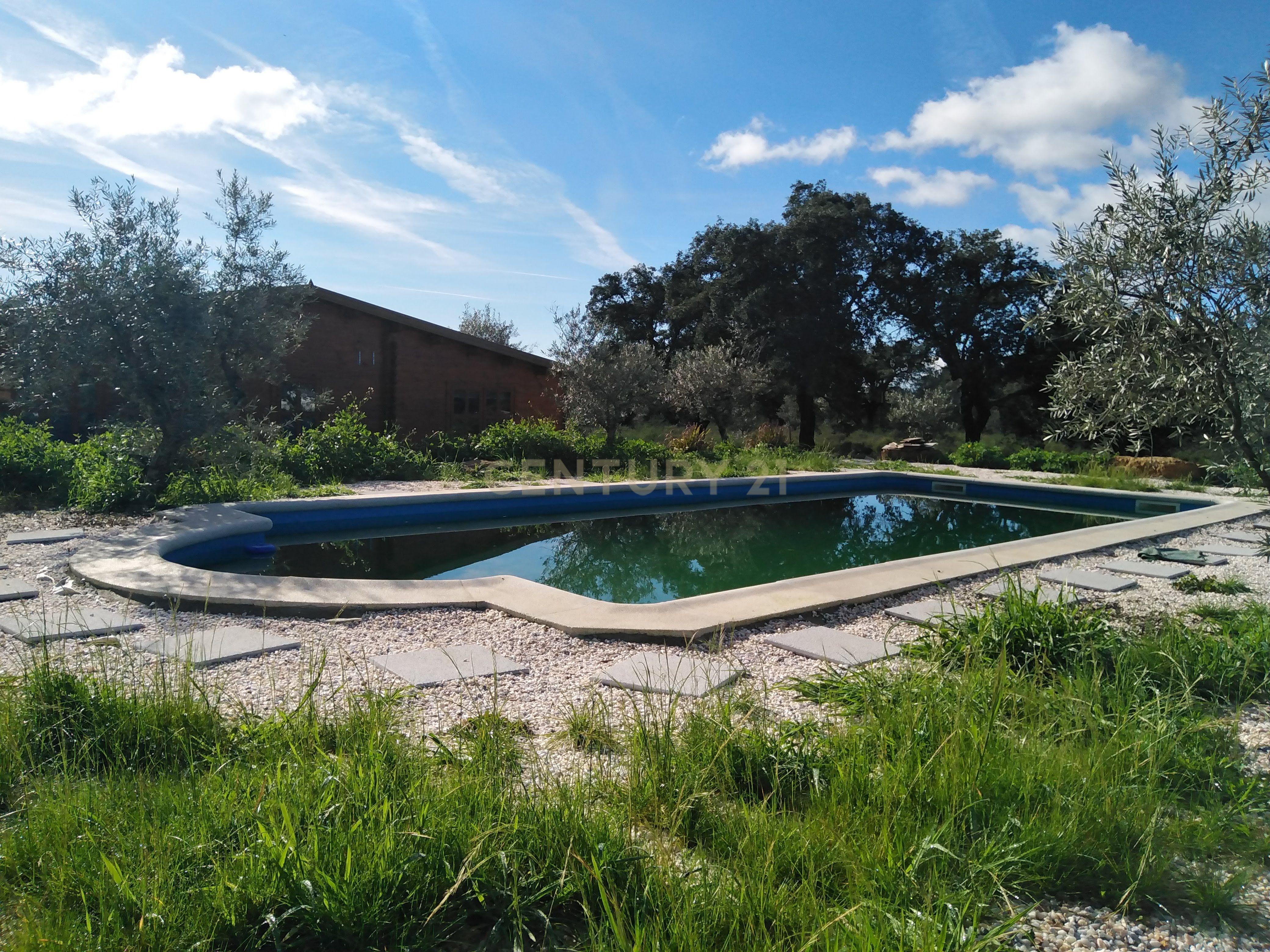 Quinta Com Piscina e Casa Madeira, Lousa, Castelo Branco - Image 34