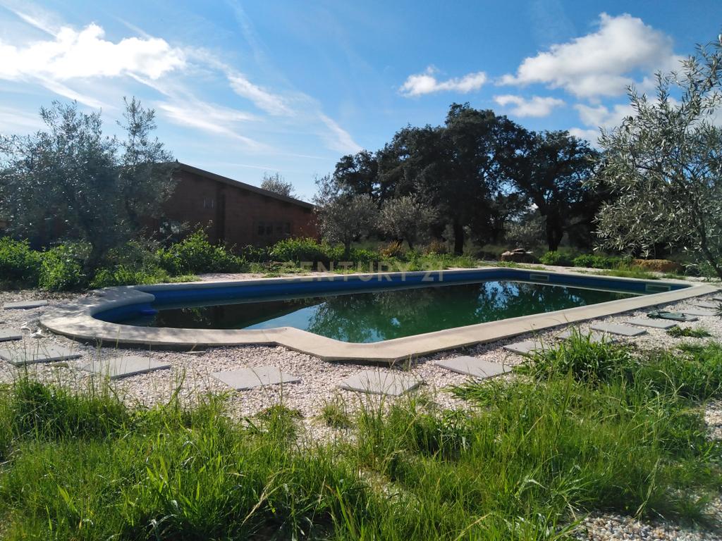 Quinta Com Piscina e Casa Madeira, Lousa, Castelo Branco - Image 34