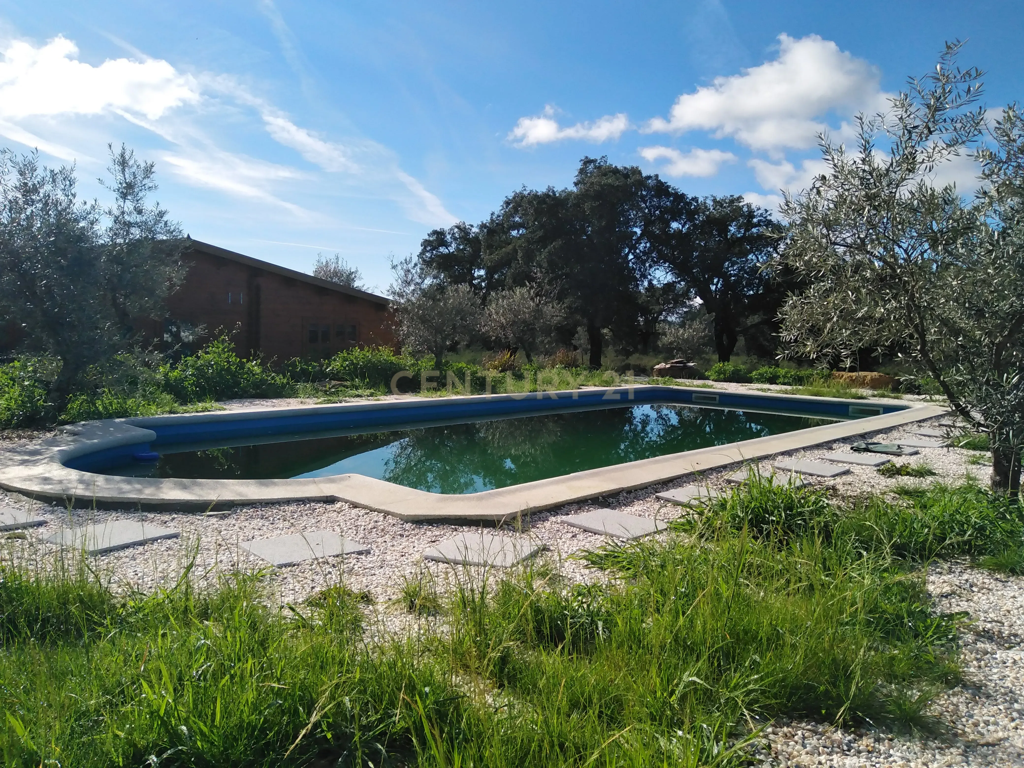 Quinta Com Piscina e Casa Madeira, Lousa, Castelo Branco - Image 35