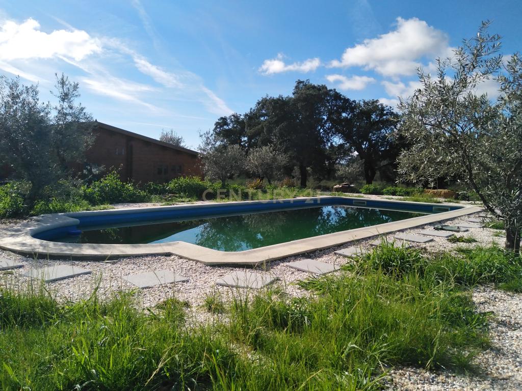 Quinta Com Piscina e Casa Madeira, Lousa, Castelo Branco - Image 35