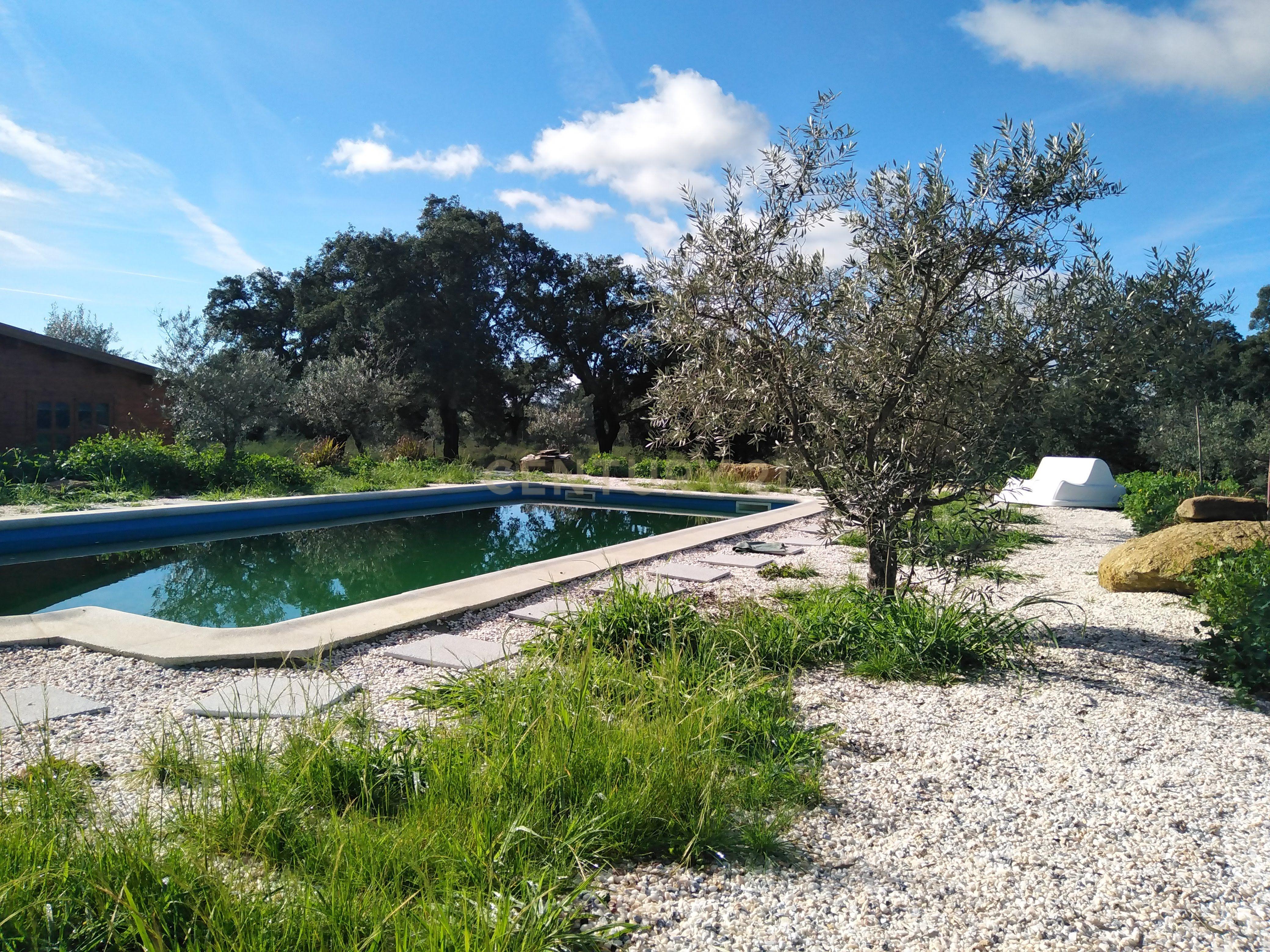 Quinta Com Piscina e Casa Madeira, Lousa, Castelo Branco - Image 36