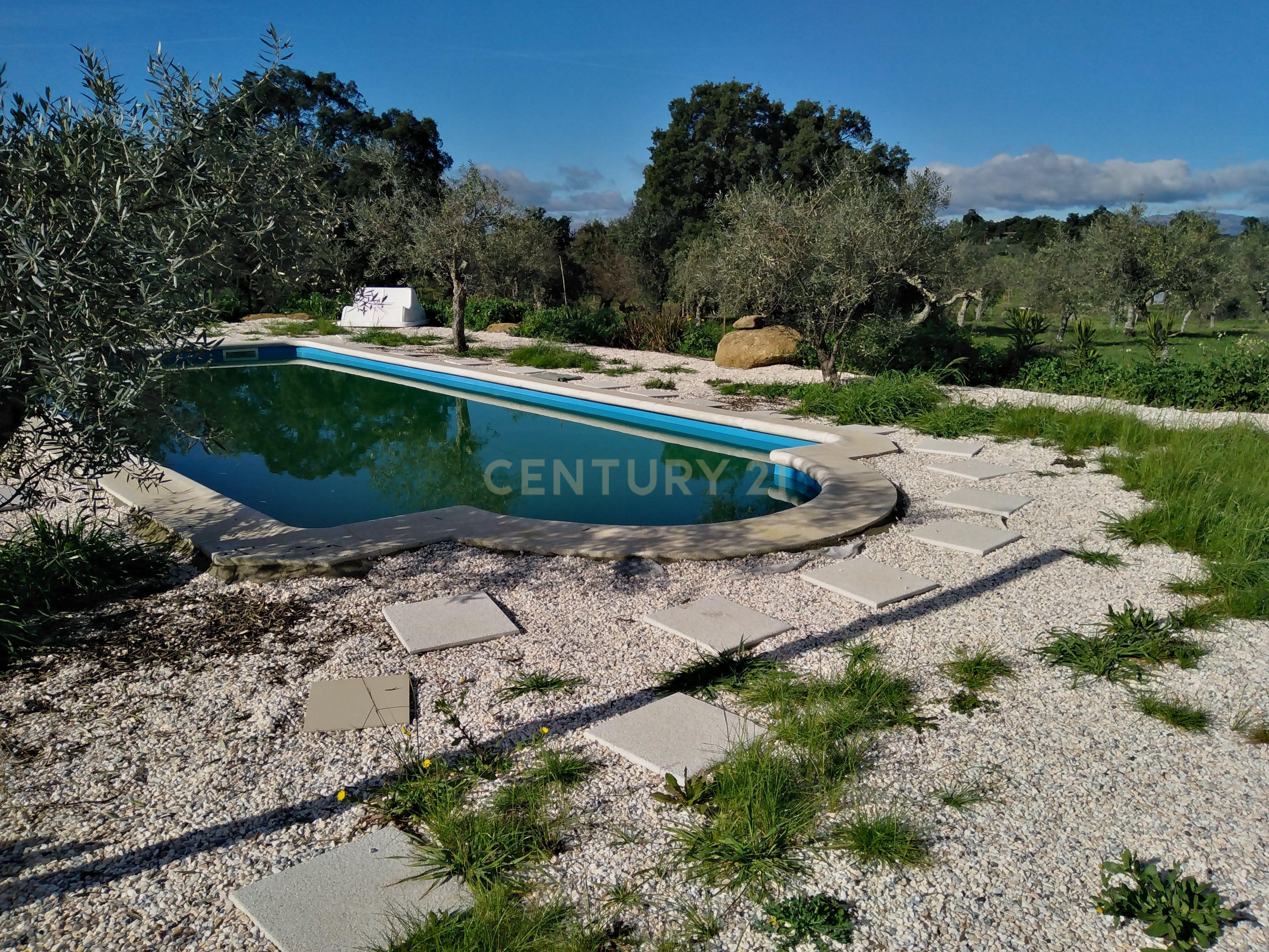 Quinta Com Piscina e Casa Madeira, Lousa, Castelo Branco - Image 32