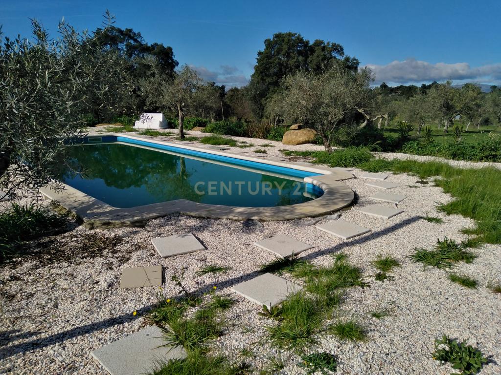Quinta Com Piscina e Casa Madeira, Lousa, Castelo Branco - Image 32