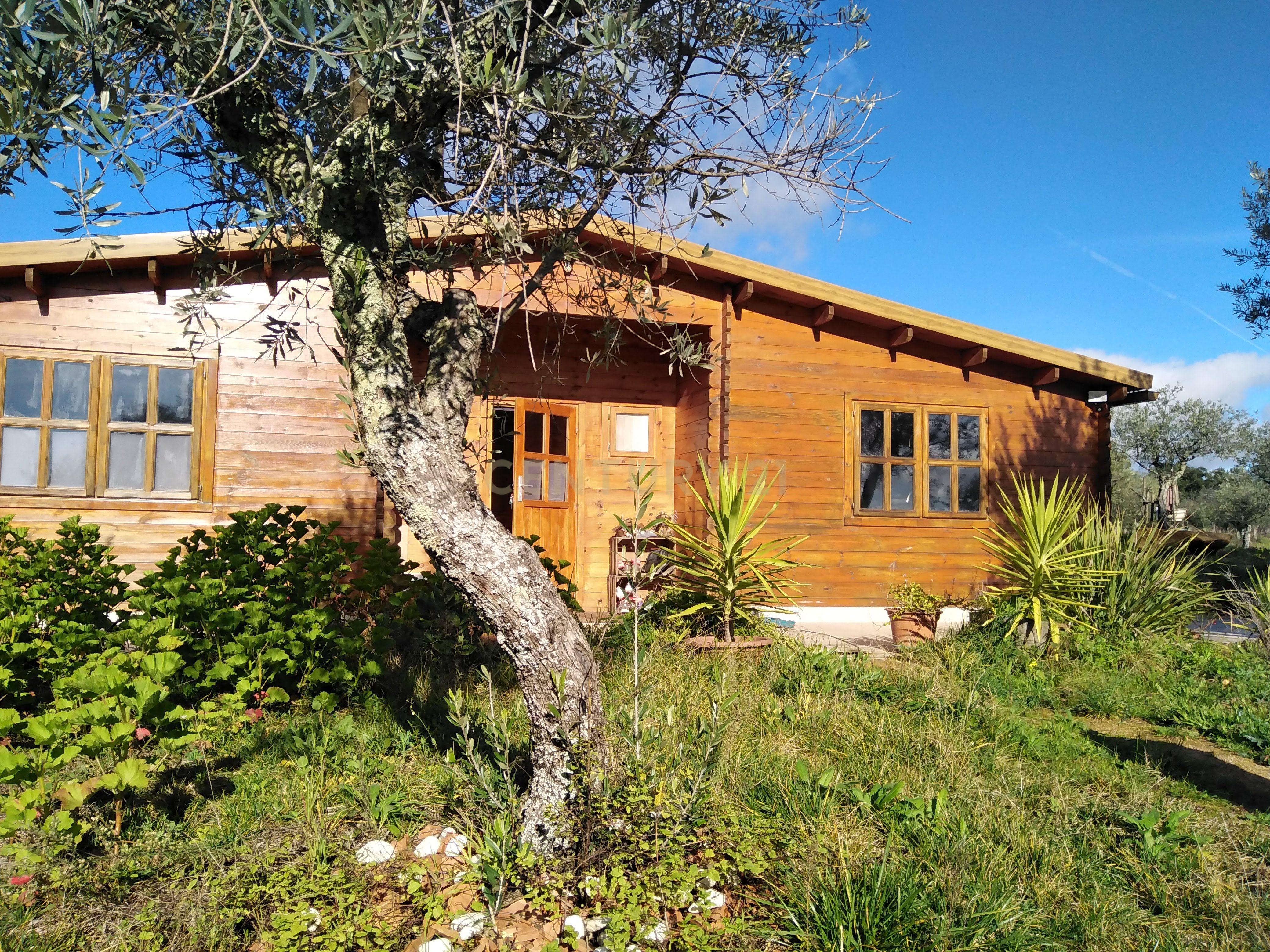 Quinta Com Piscina e Casa Madeira, Lousa, Castelo Branco - Image 2