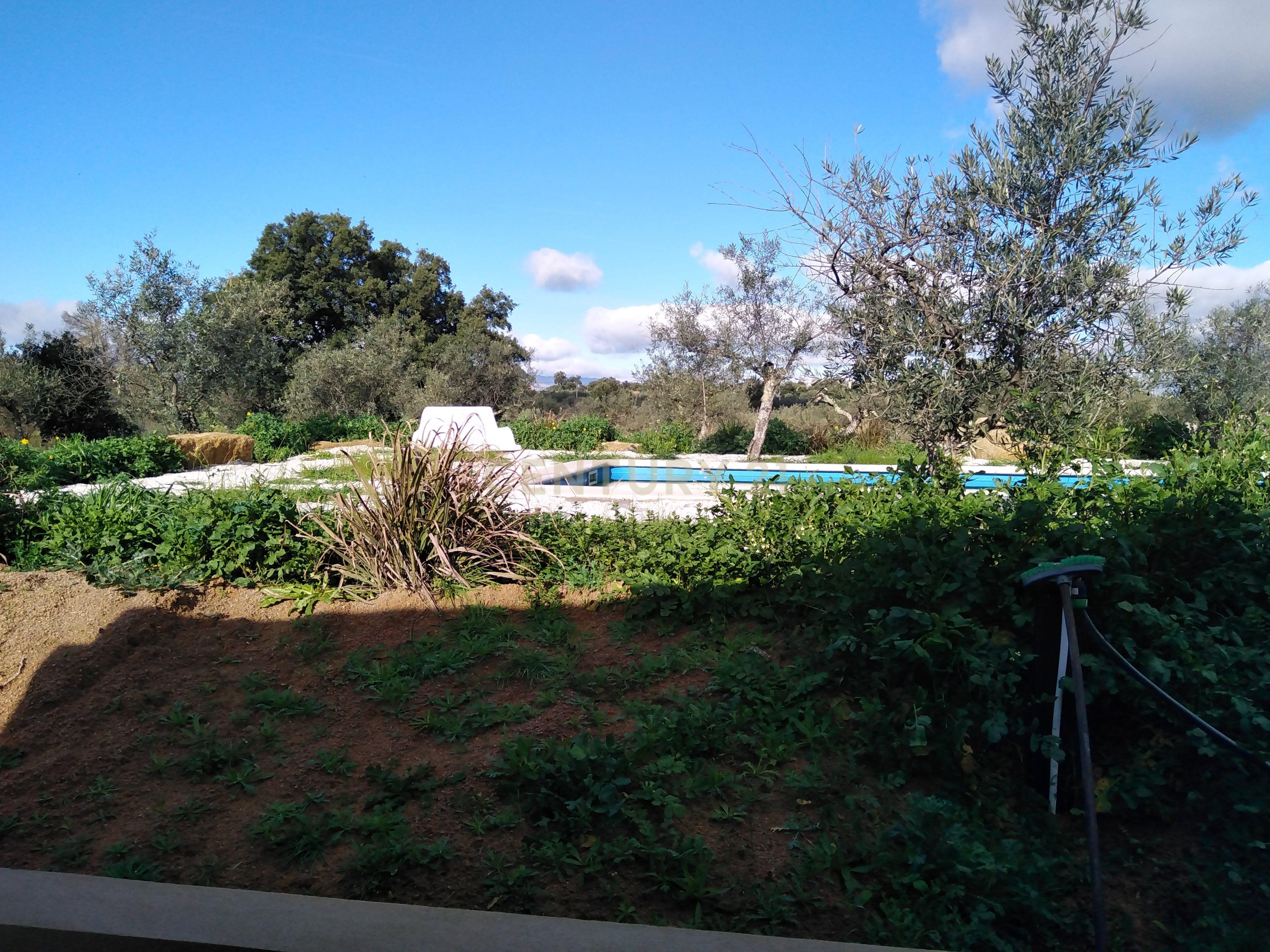 Quinta Com Piscina e Casa Madeira, Lousa, Castelo Branco - Image 41