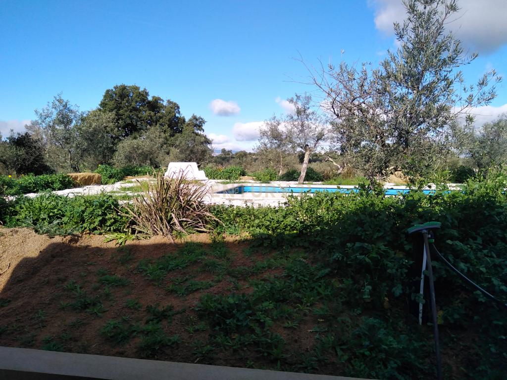 Quinta Com Piscina e Casa Madeira, Lousa, Castelo Branco - Image 41