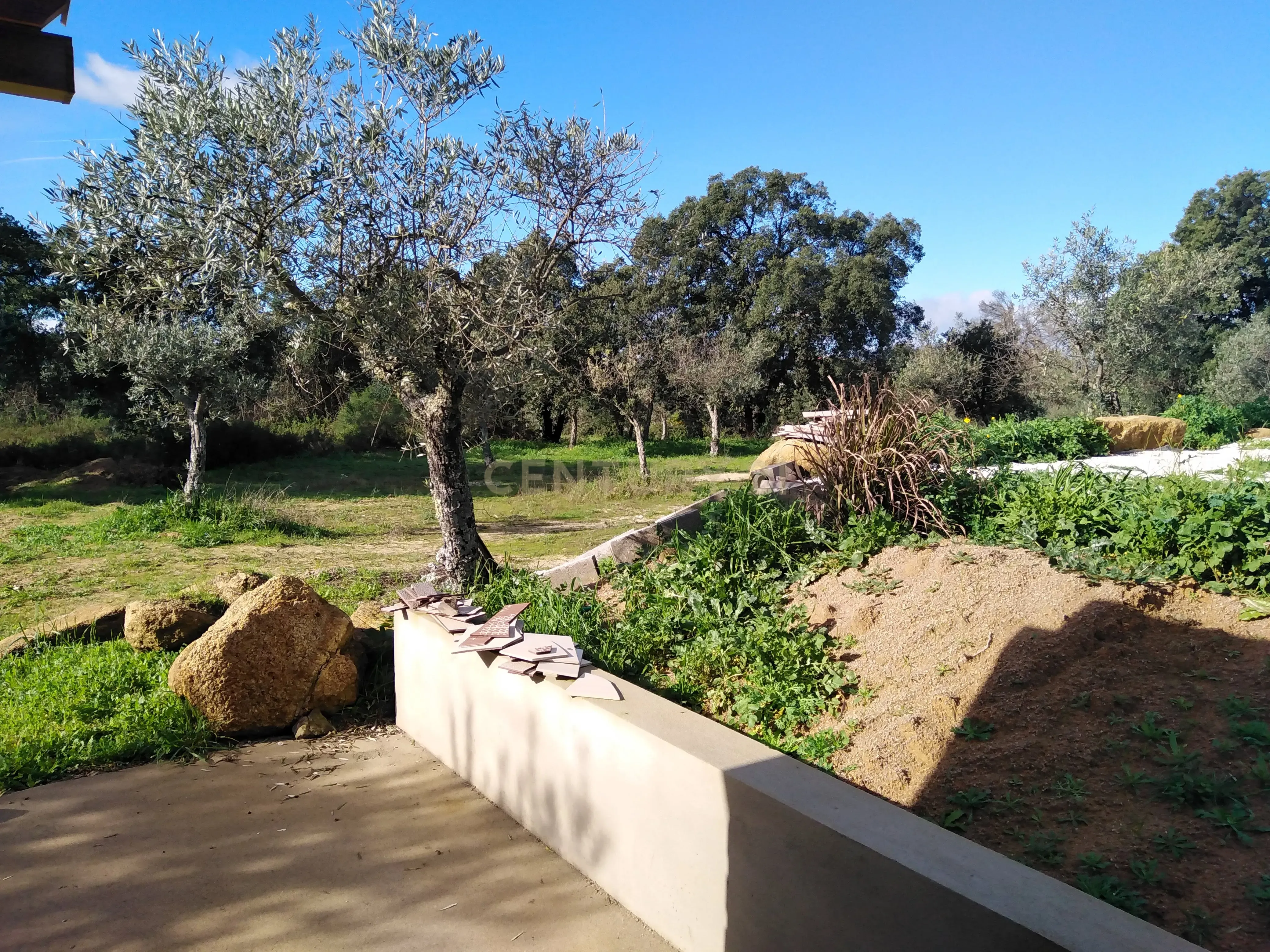 Quinta Com Piscina e Casa Madeira, Lousa, Castelo Branco - Image 37
