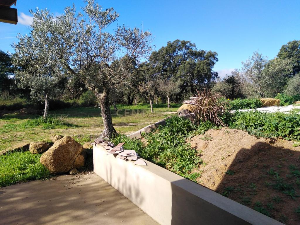 Quinta Com Piscina e Casa Madeira, Lousa, Castelo Branco - Image 37