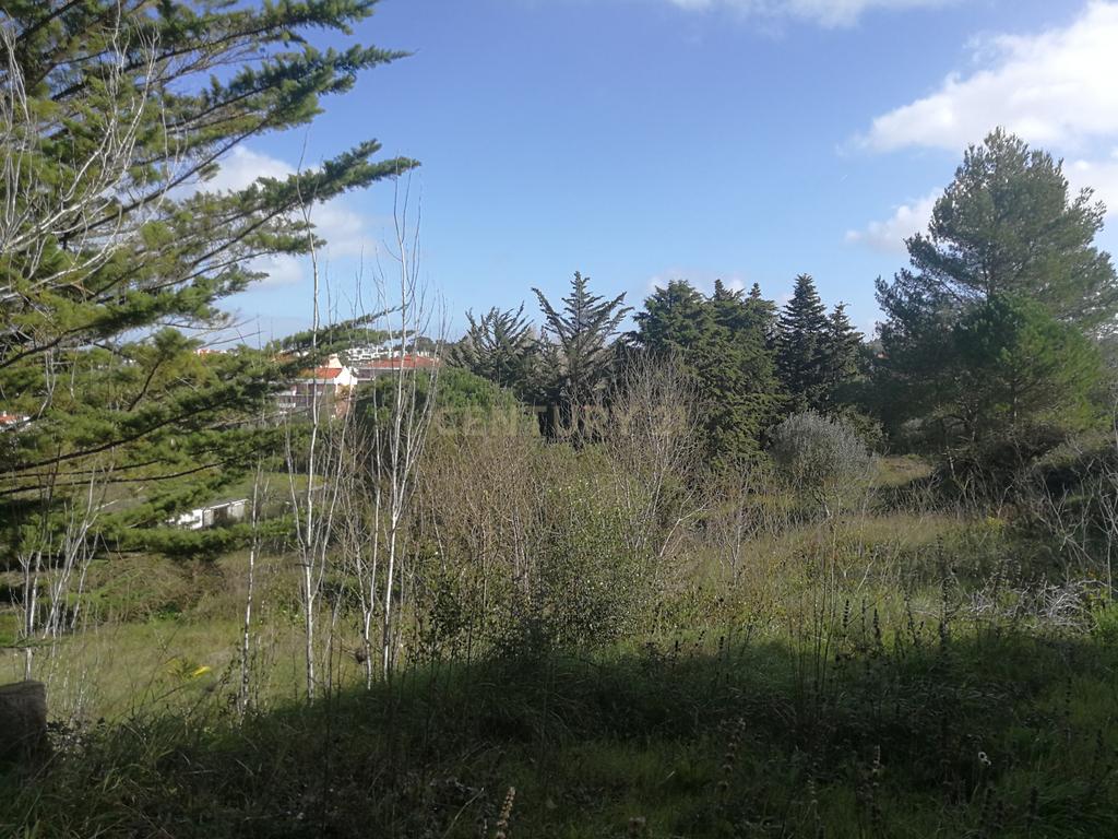Terreno Rustico – Lourel Sintra - Image 5
