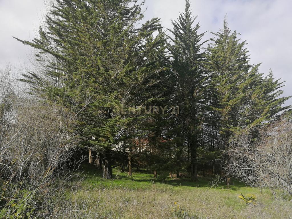 Terreno Rustico – Lourel Sintra - Image 11