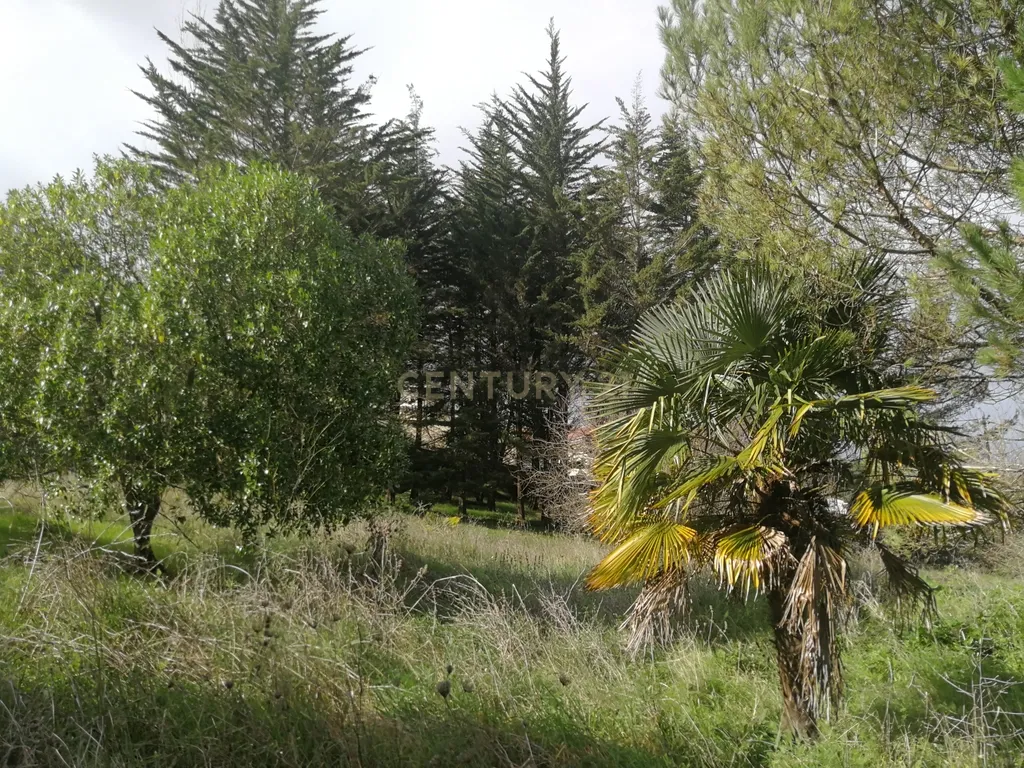 Terreno Rustico – Lourel Sintra - Image 6