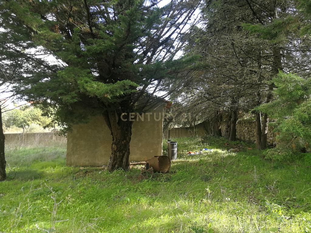 Terreno Rustico – Lourel Sintra - Image 14