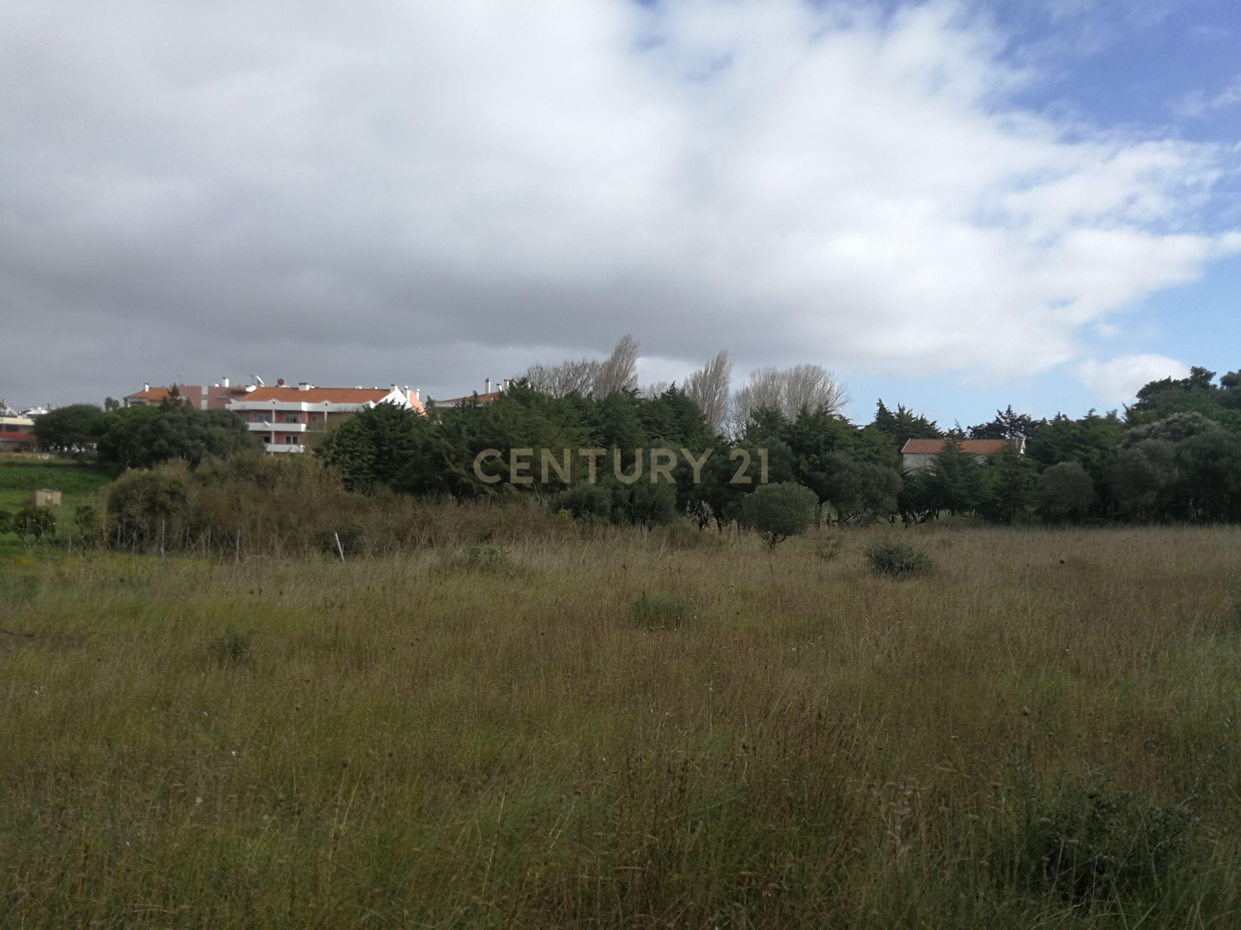 Terreno Rústico – Lourel, Sintra - Image 2