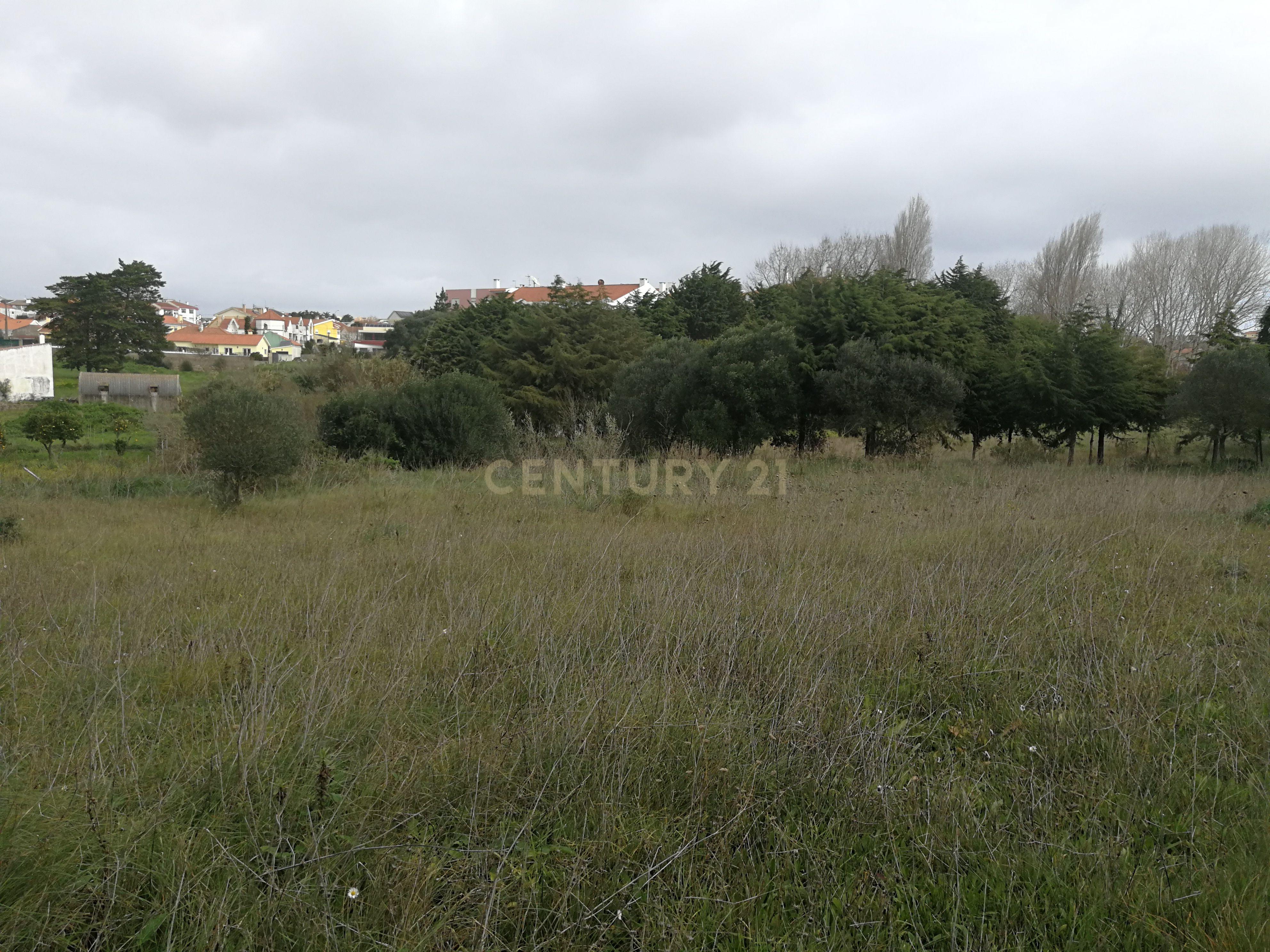 Terreno Rústico – Lourel, Sintra - Image 4
